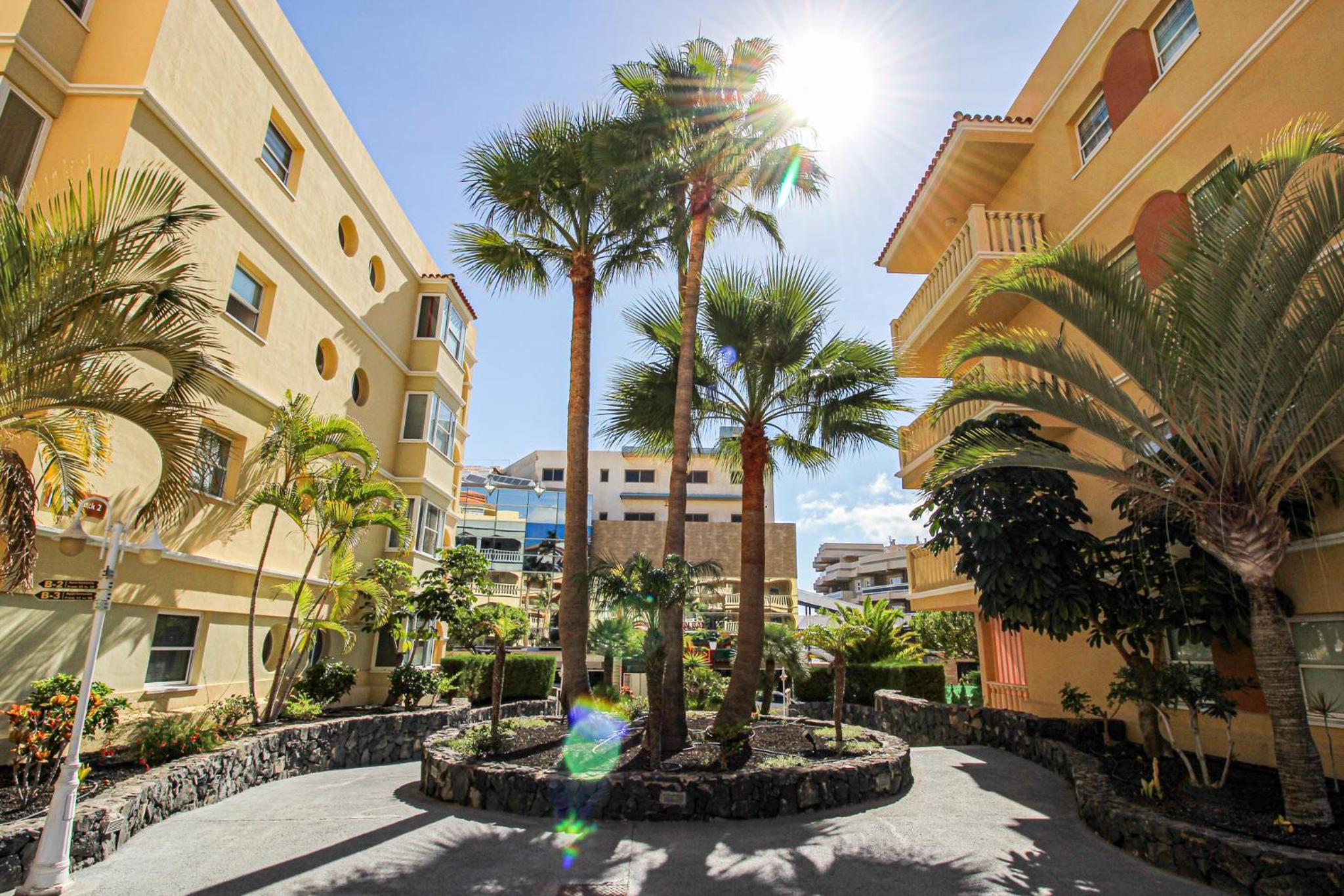 Winter Garden - Golf del Sur 2 bedroom 2 bathroom apartment with terrace view 5