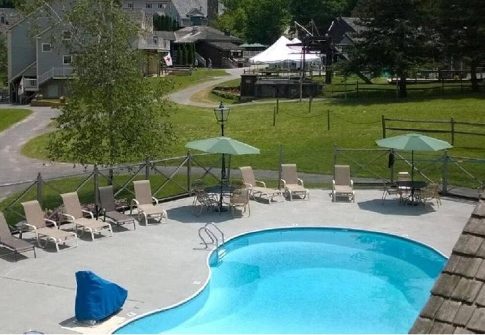 Deluxe Ski On Off 1BR Suite Sleeps 4 on Jiminy Mtn view 3