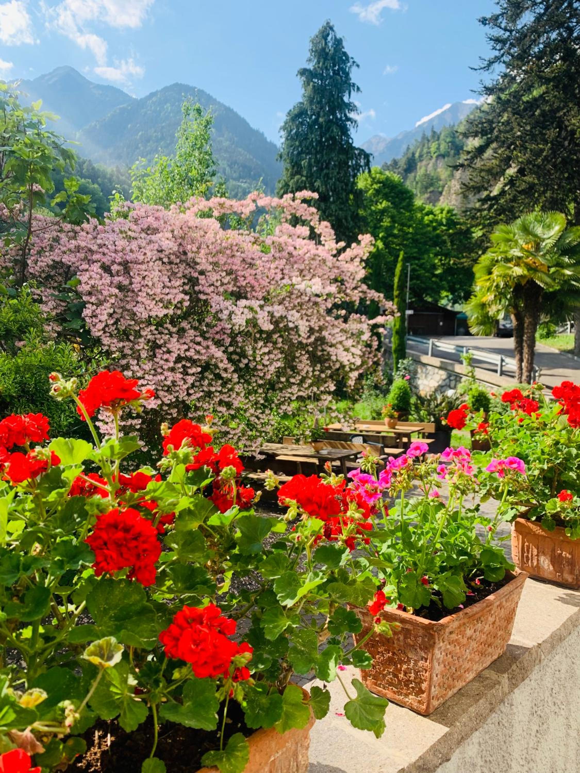 Tannerhof Bed & Breakfast photo 4