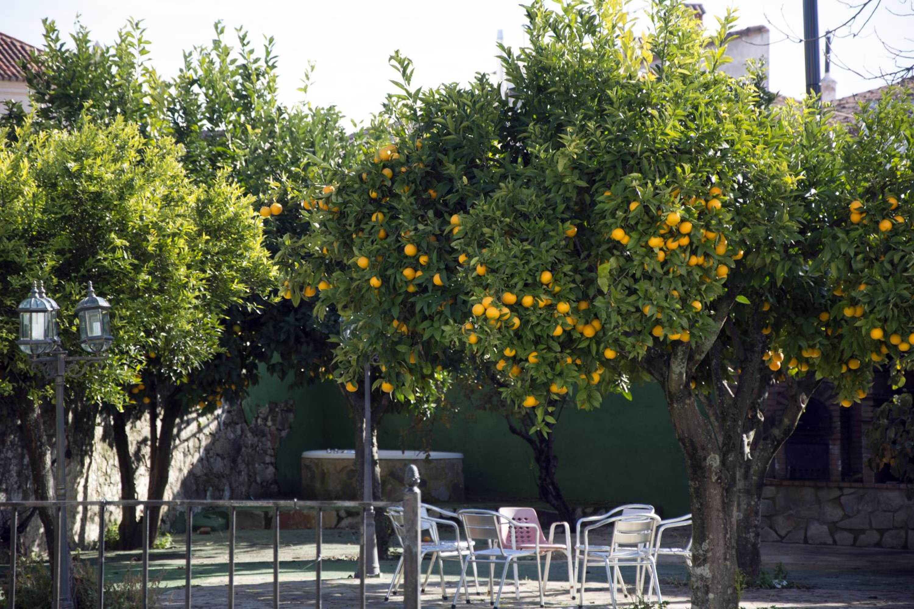 Hostal San Miguel