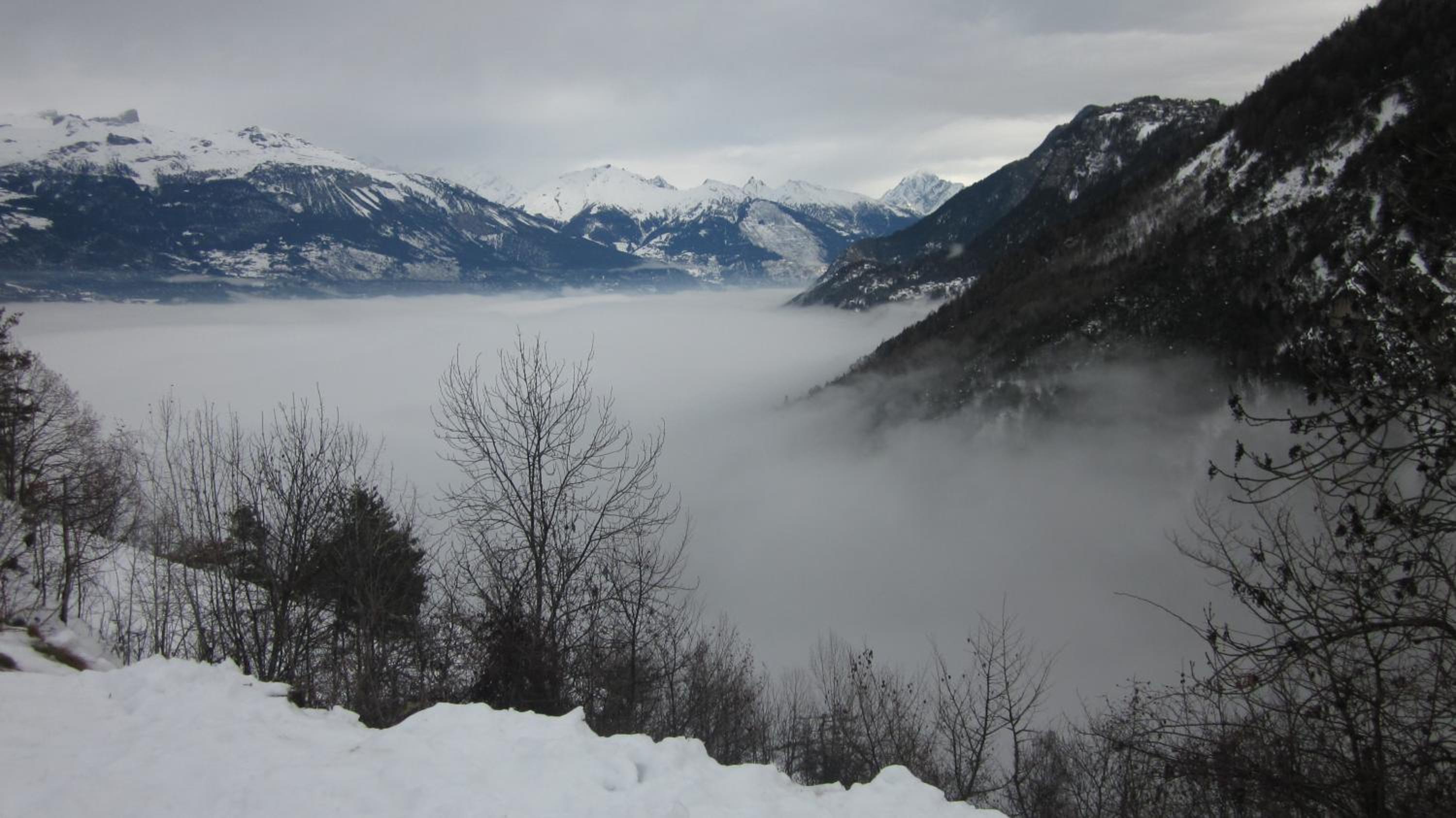 Photo 24