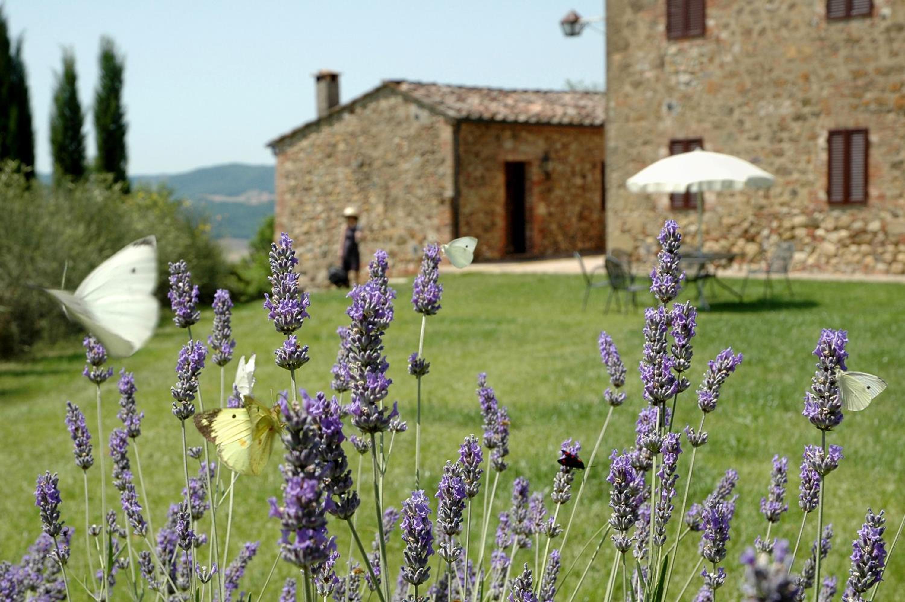 Tenuta Casabianca