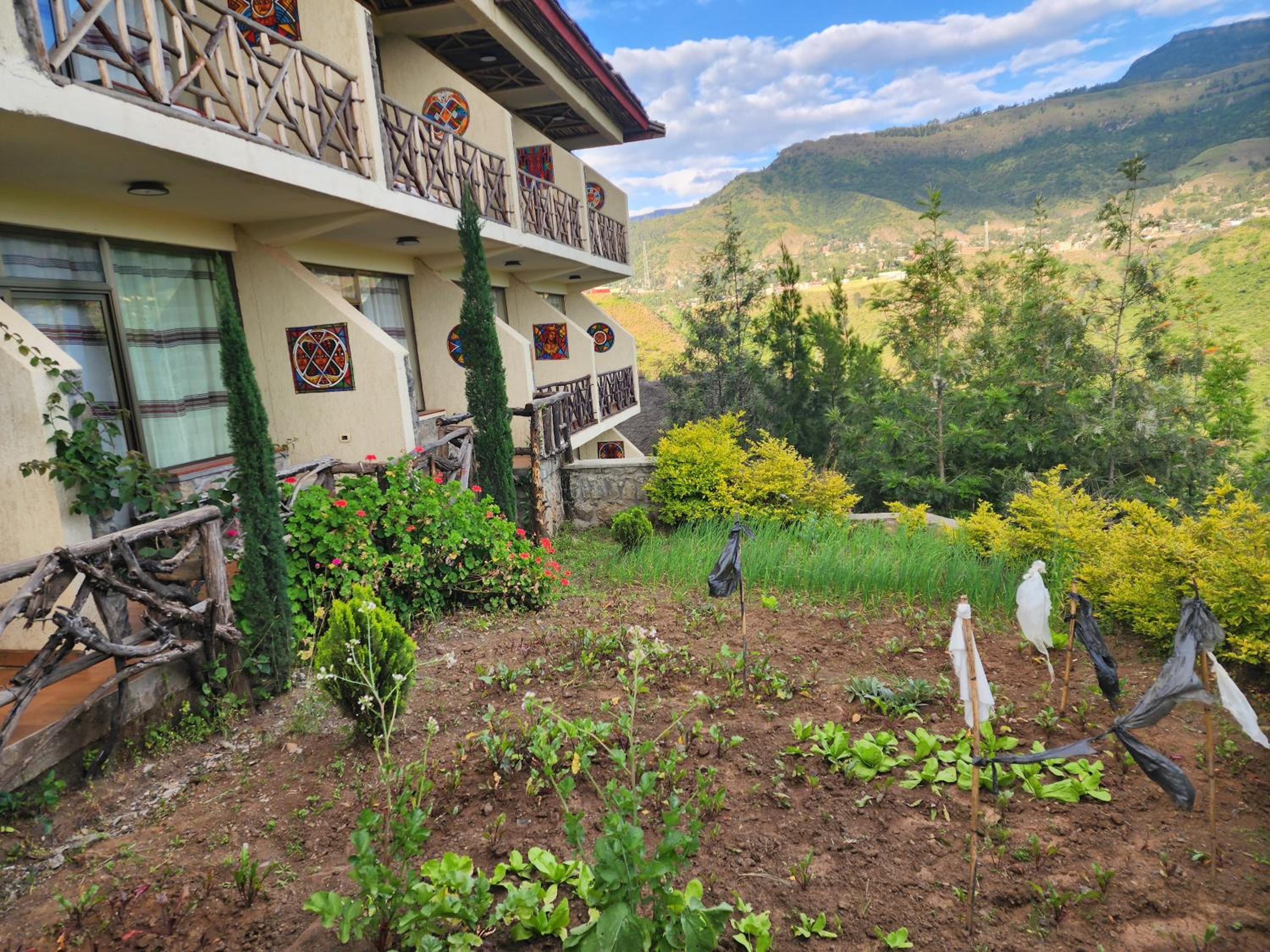 Sora Lodge Lalibela, photo 80