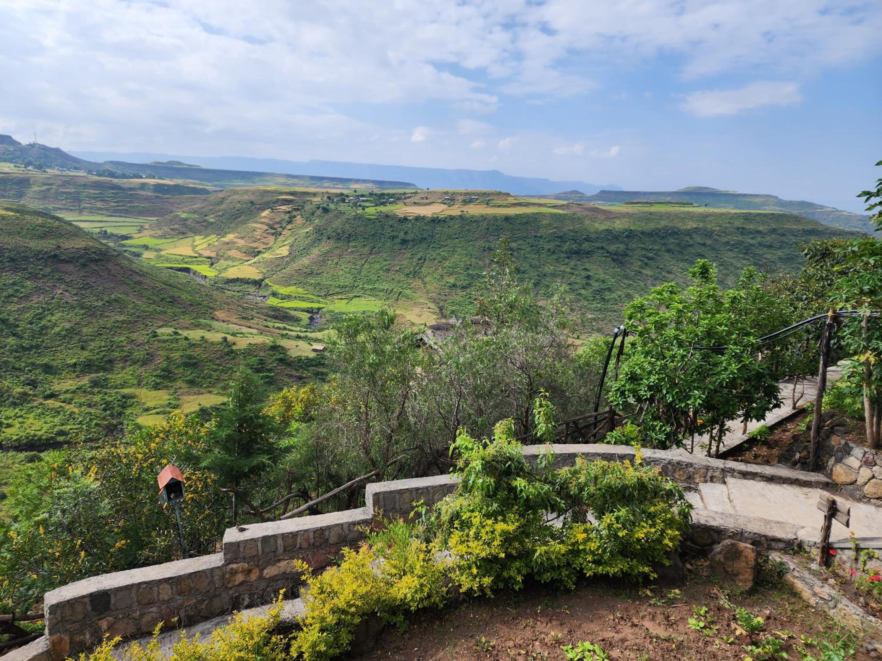 Sora Lodge Lalibela, photo 131