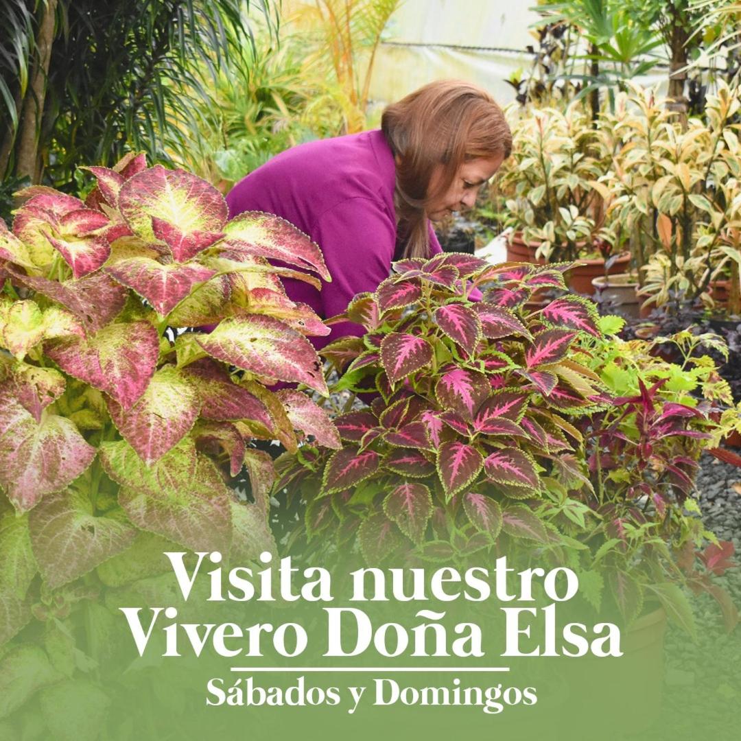 Eco Granja Don Lolo
