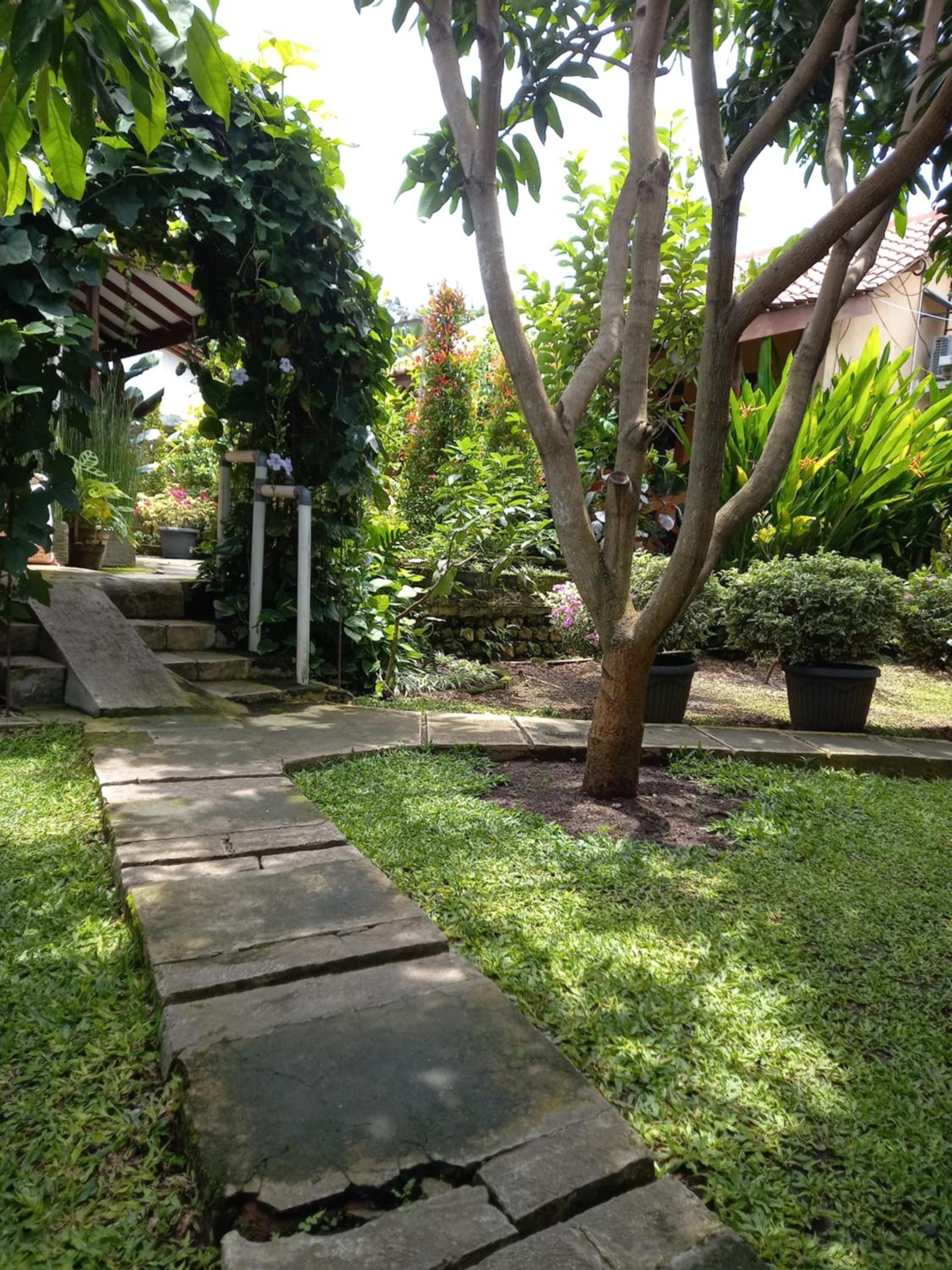 Photo 21