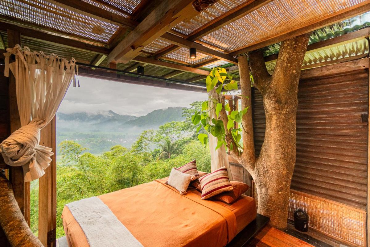 Bird Hills Bamboo House view 3