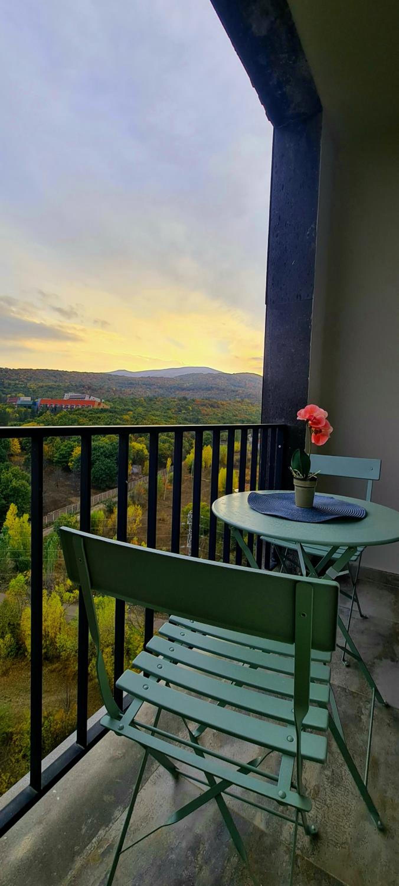 Nature View Designer Studio