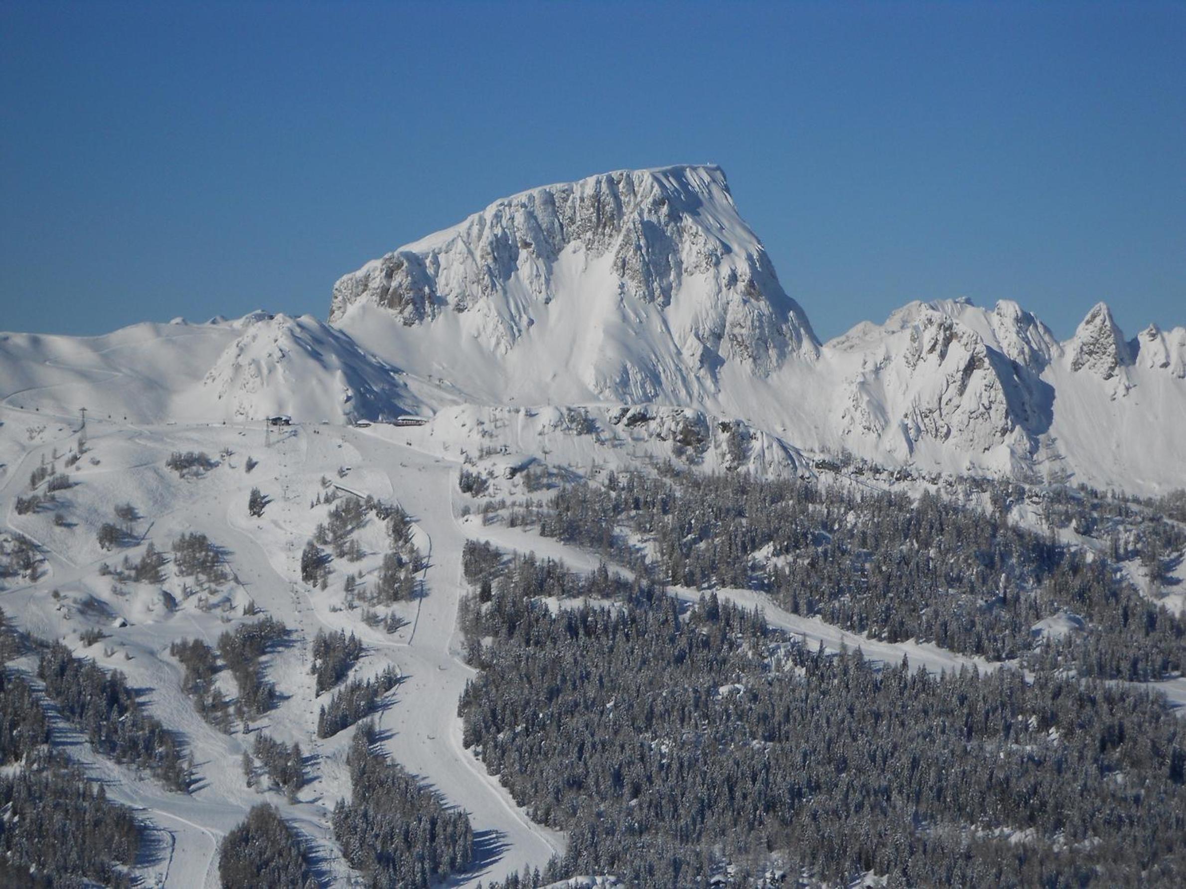 Photo 46