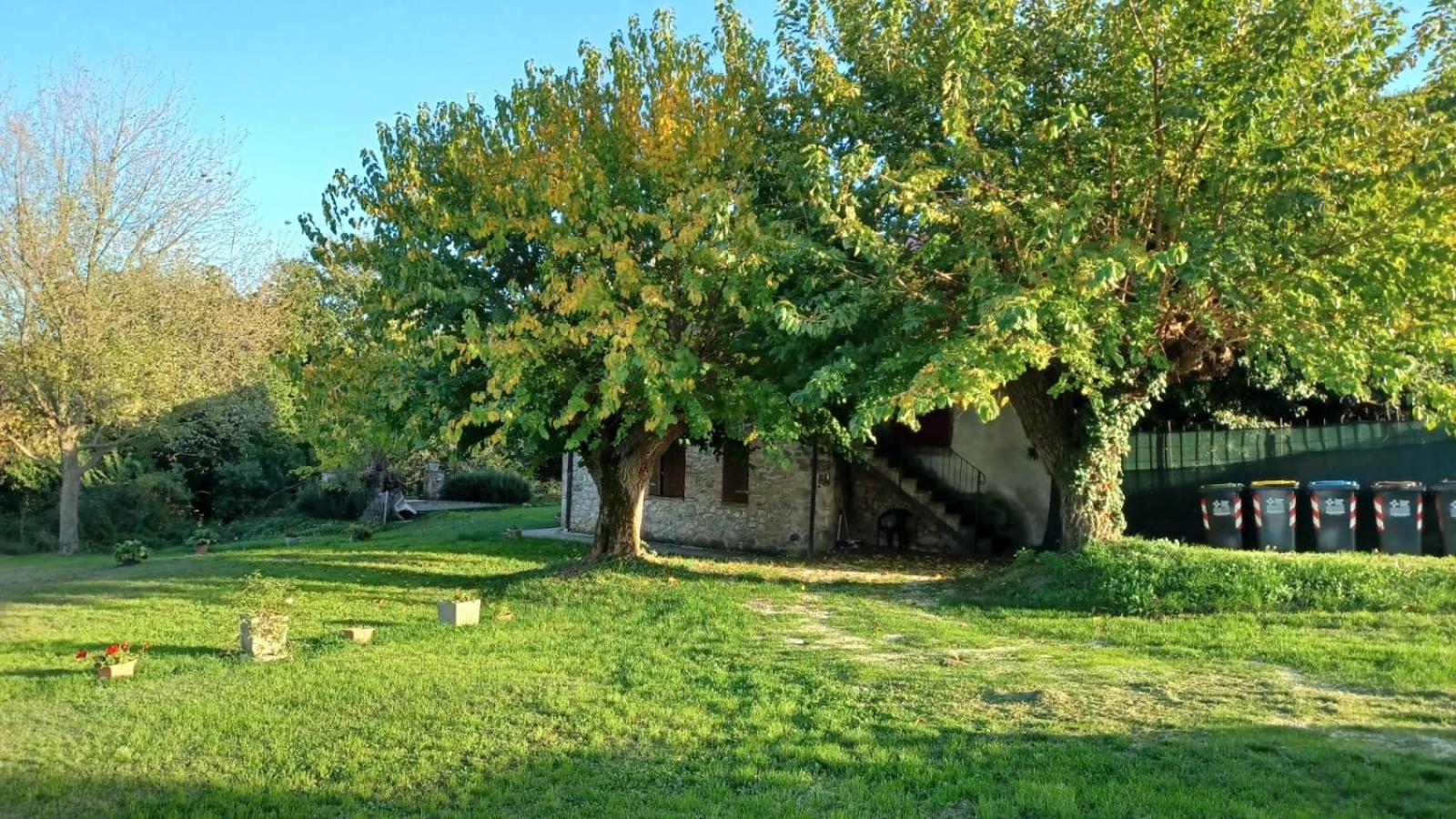Agriturismo Canonici view 5