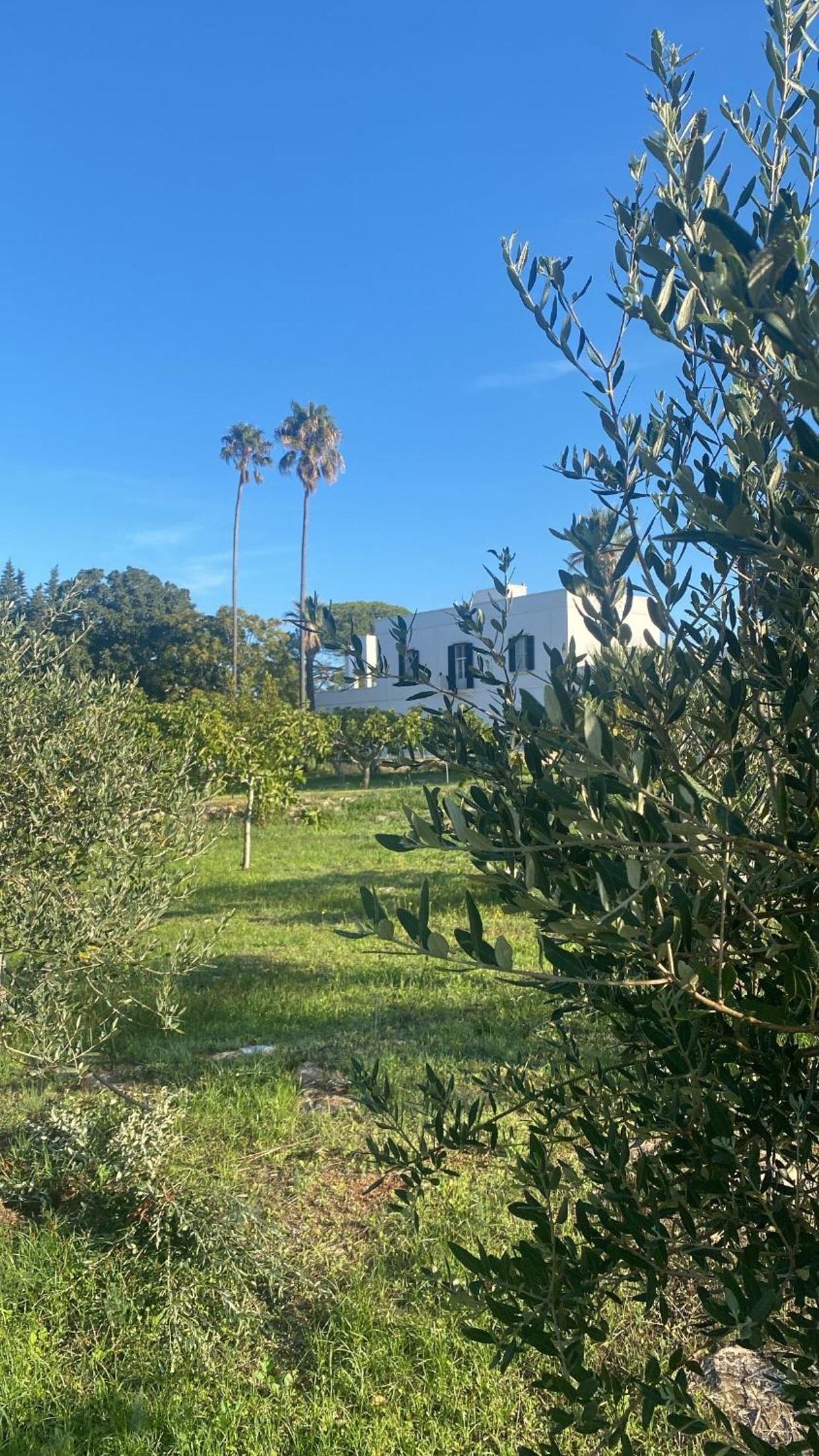 Photo 19