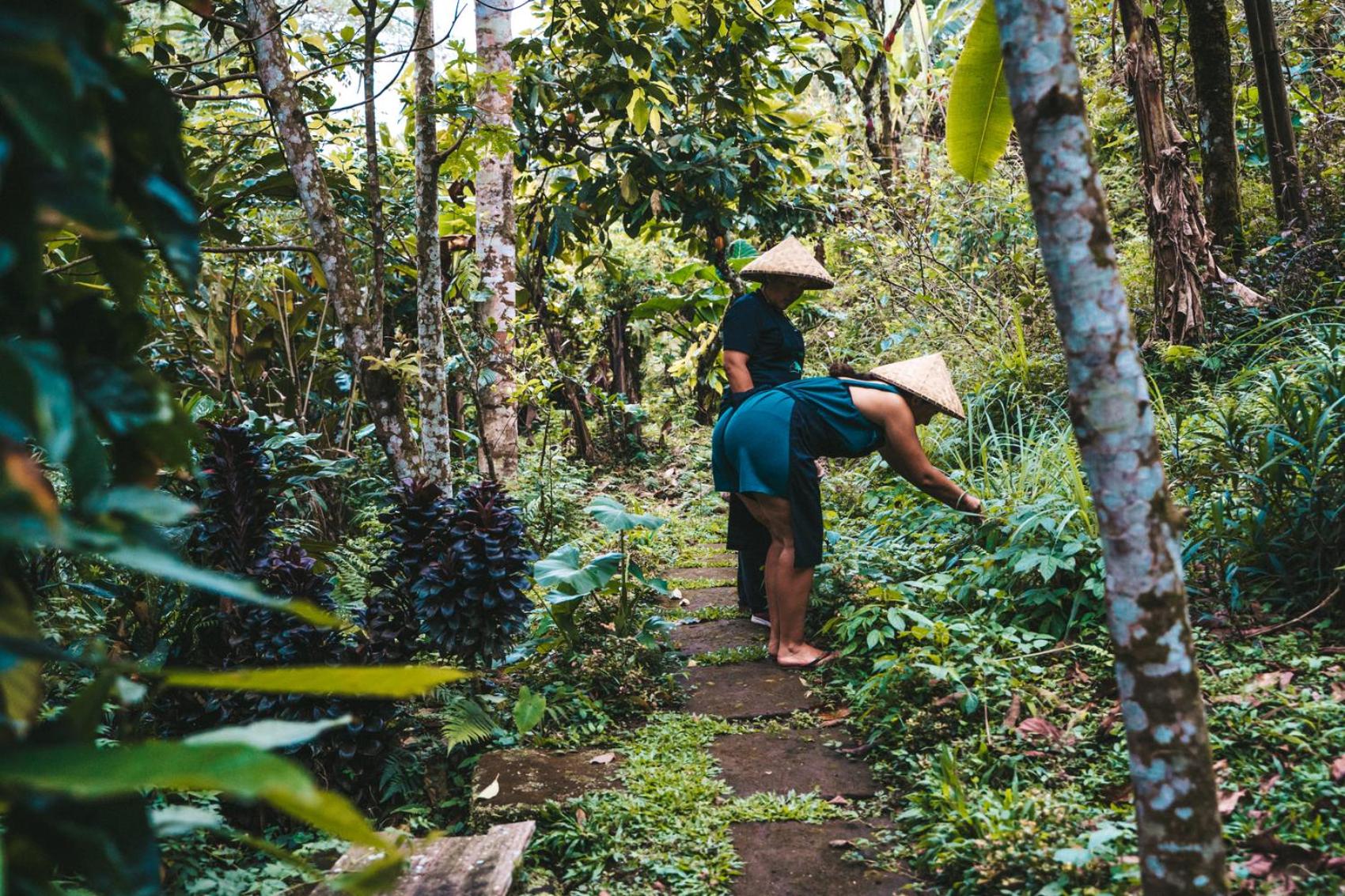 Bali Jungle Camping by Amerta Experience