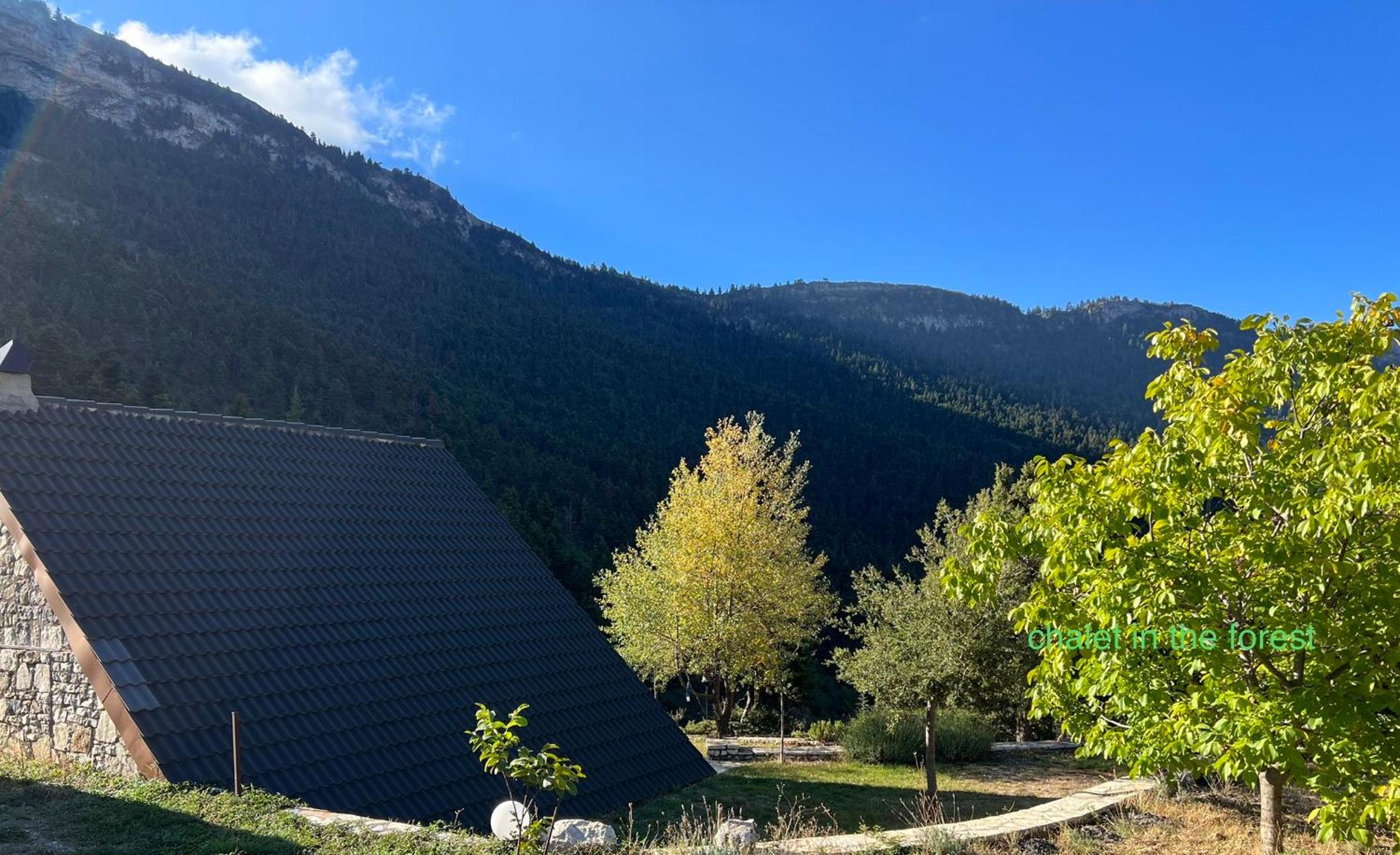 Chalet in the Forest view 4