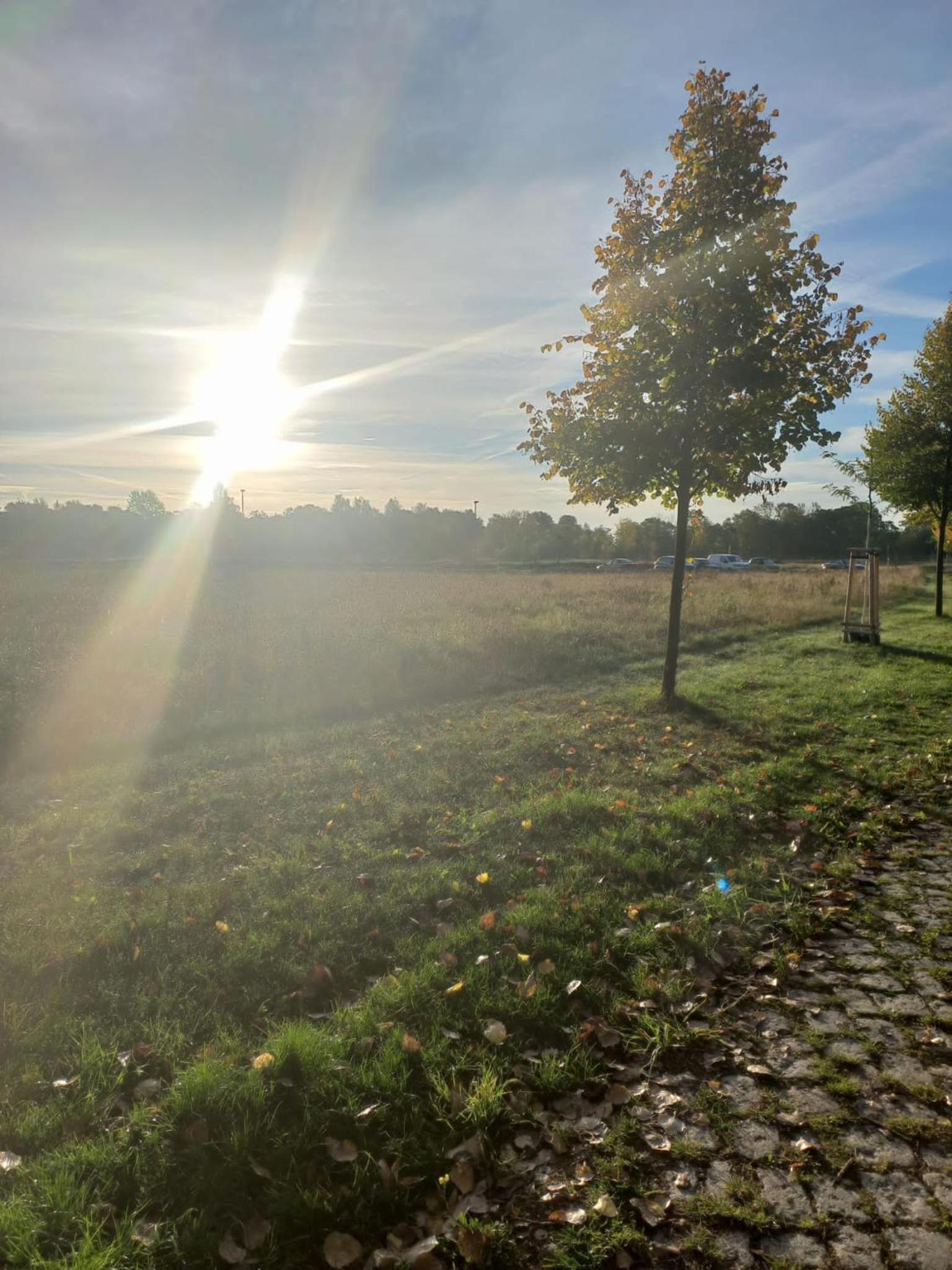 Pension Am Rosental Merseburg