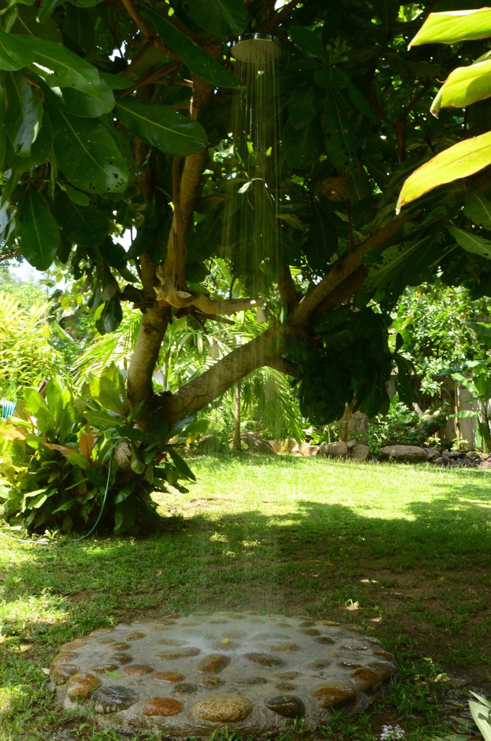 Villa Kordia, photo 30