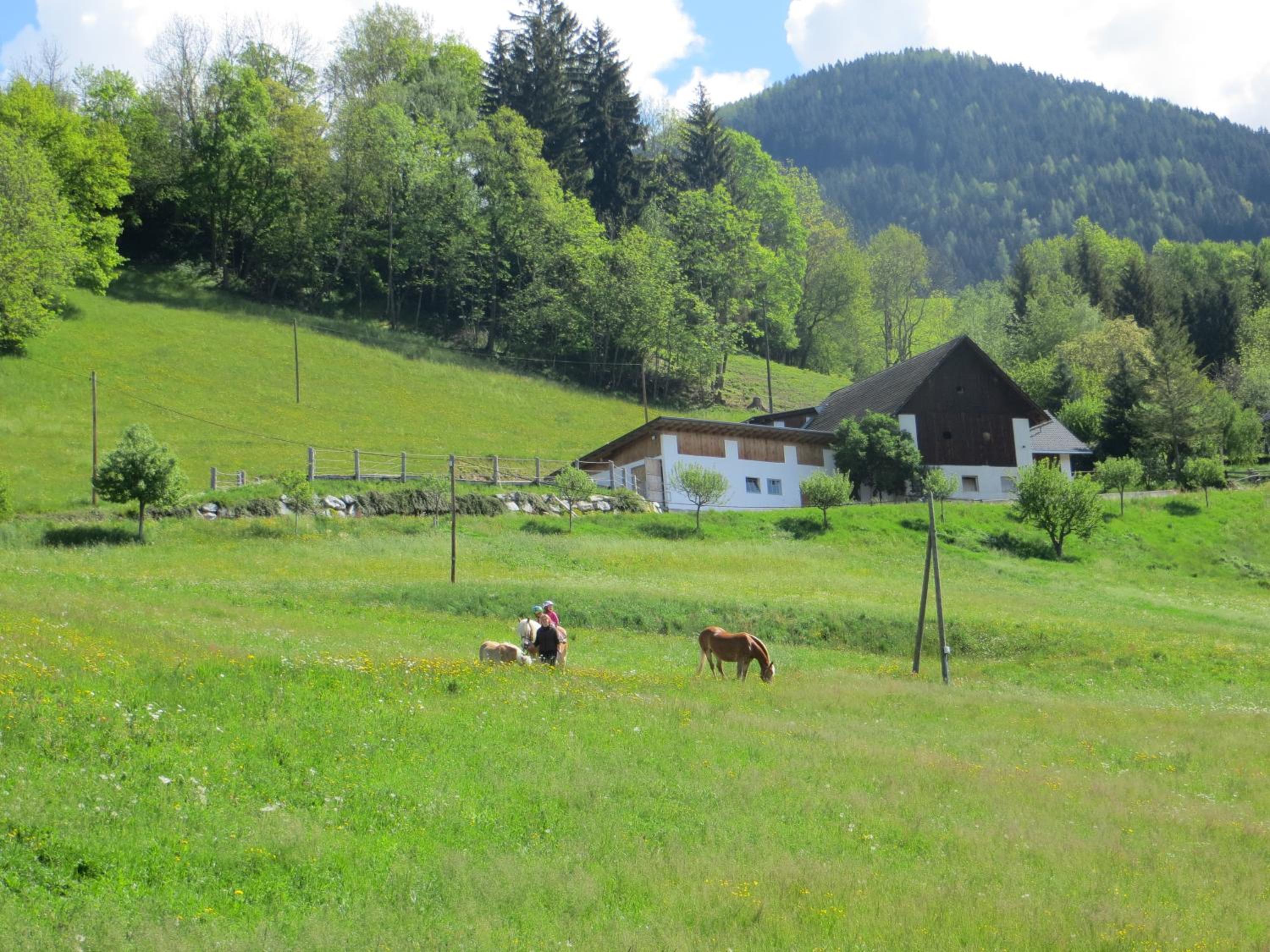 Photo 61