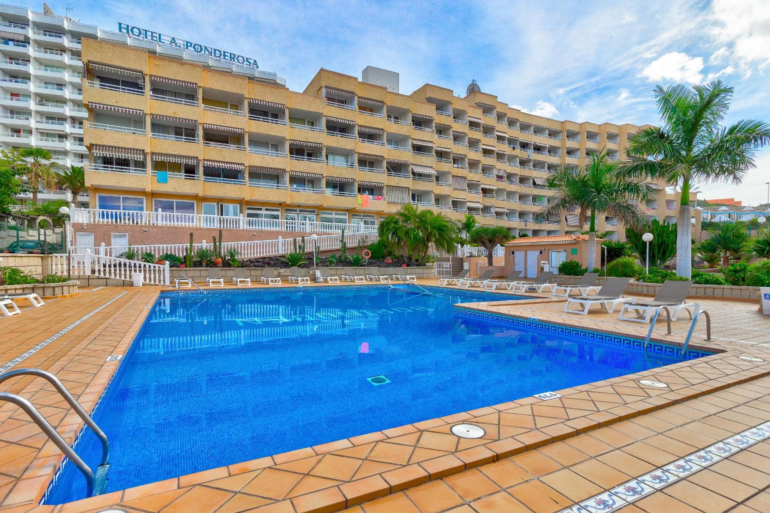 Cosy studio in Las Americas