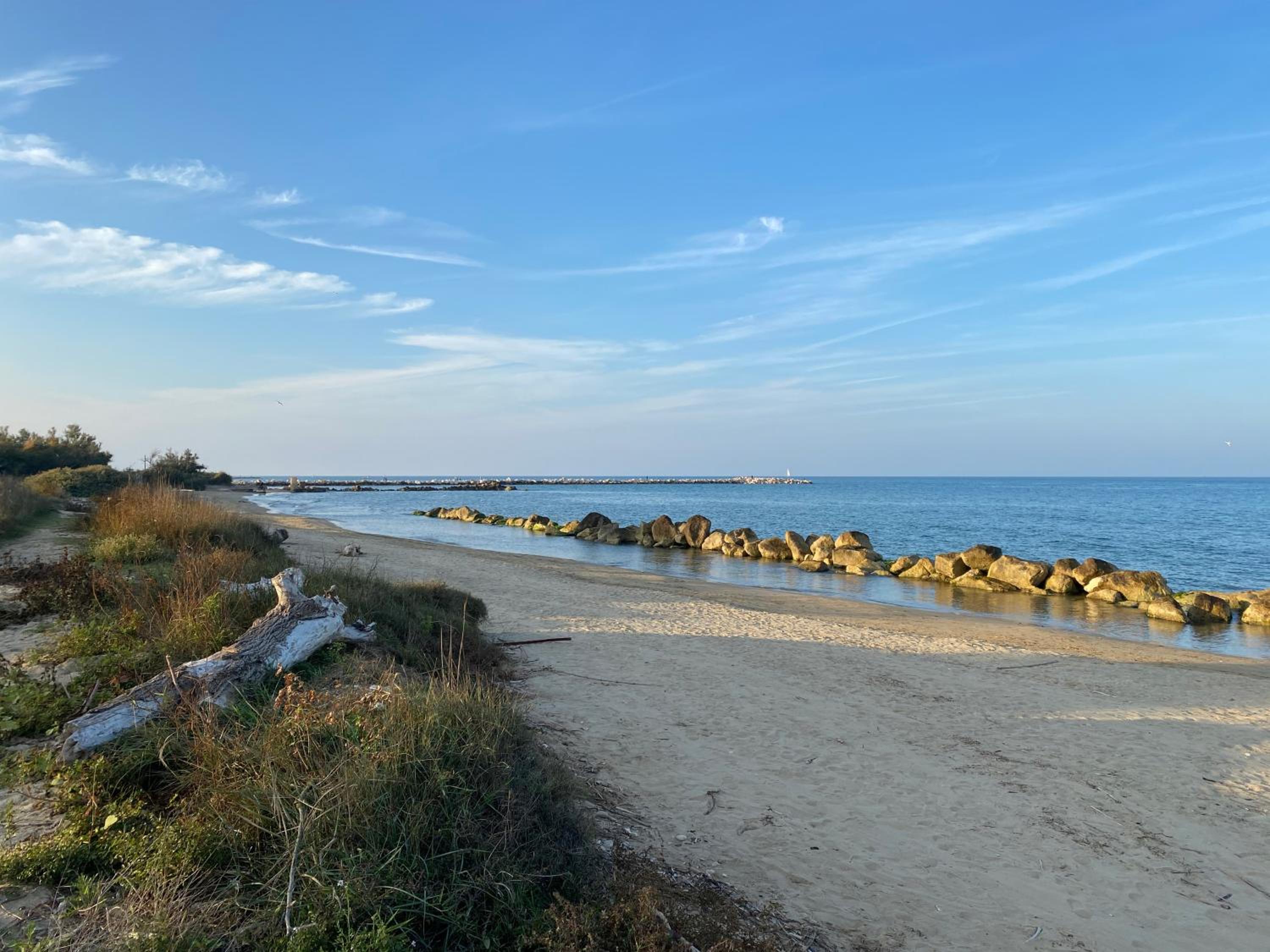 CasAmare