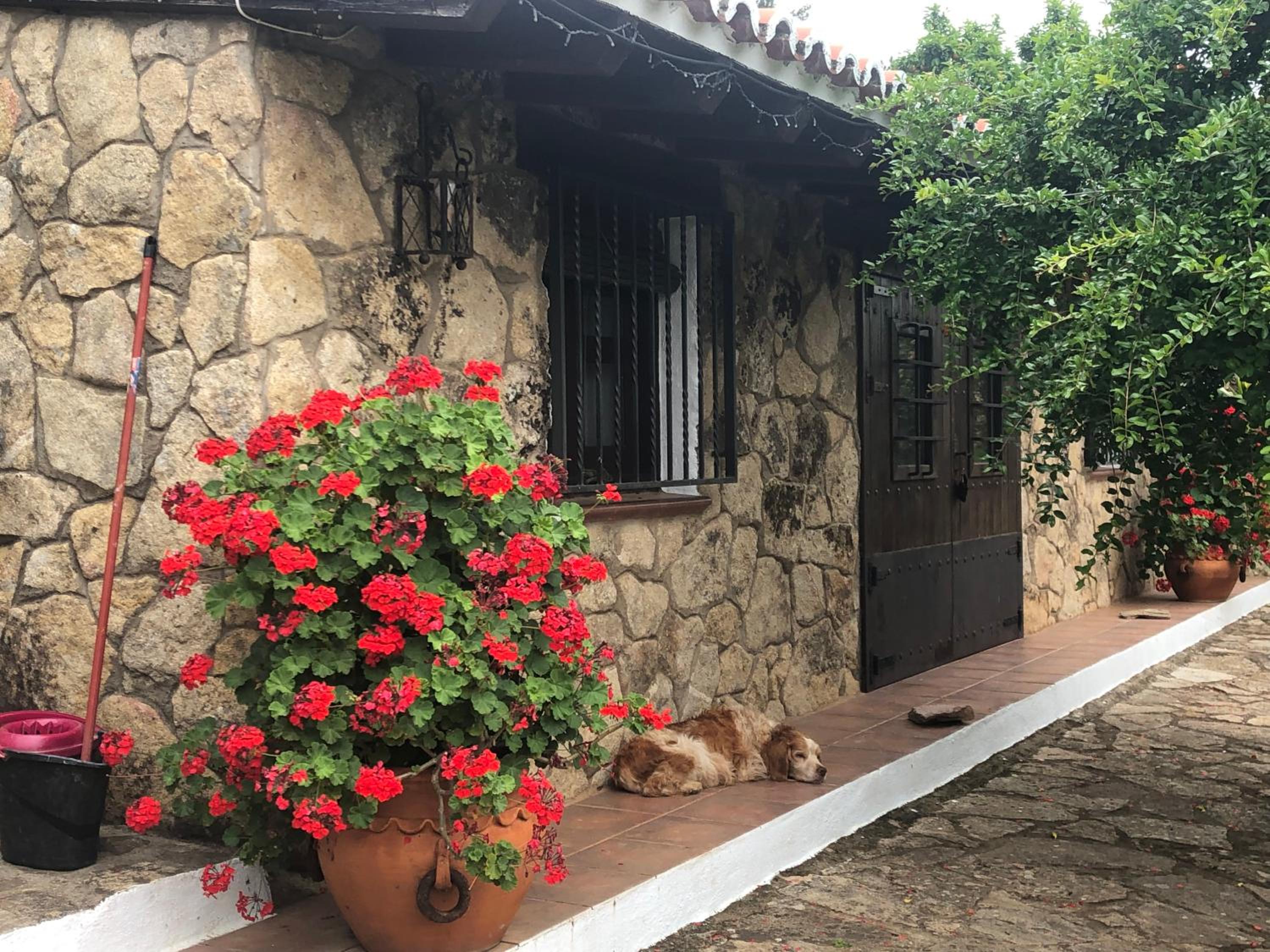 FINCA VERGEL Alojamiento con encanto habitaciones con baño view 4