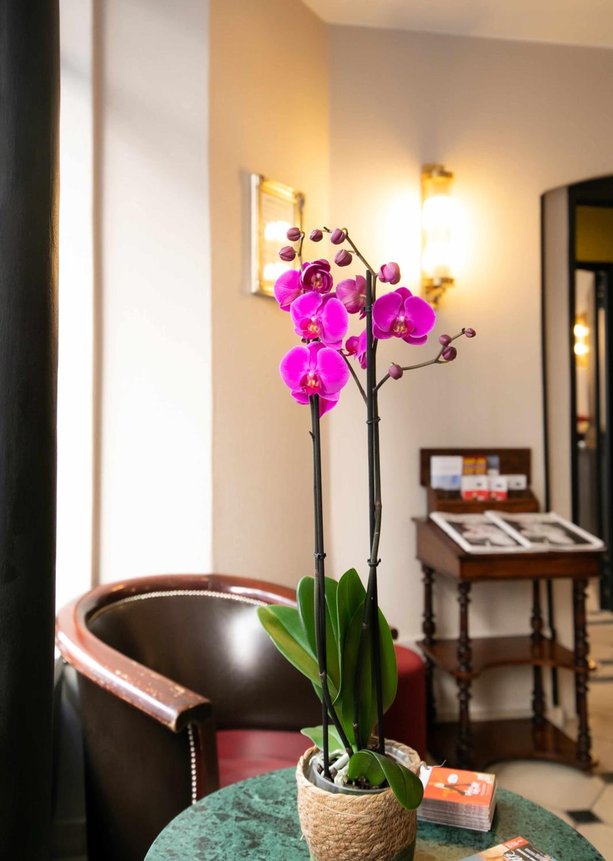 Hôtel Eiffel Rive Gauche