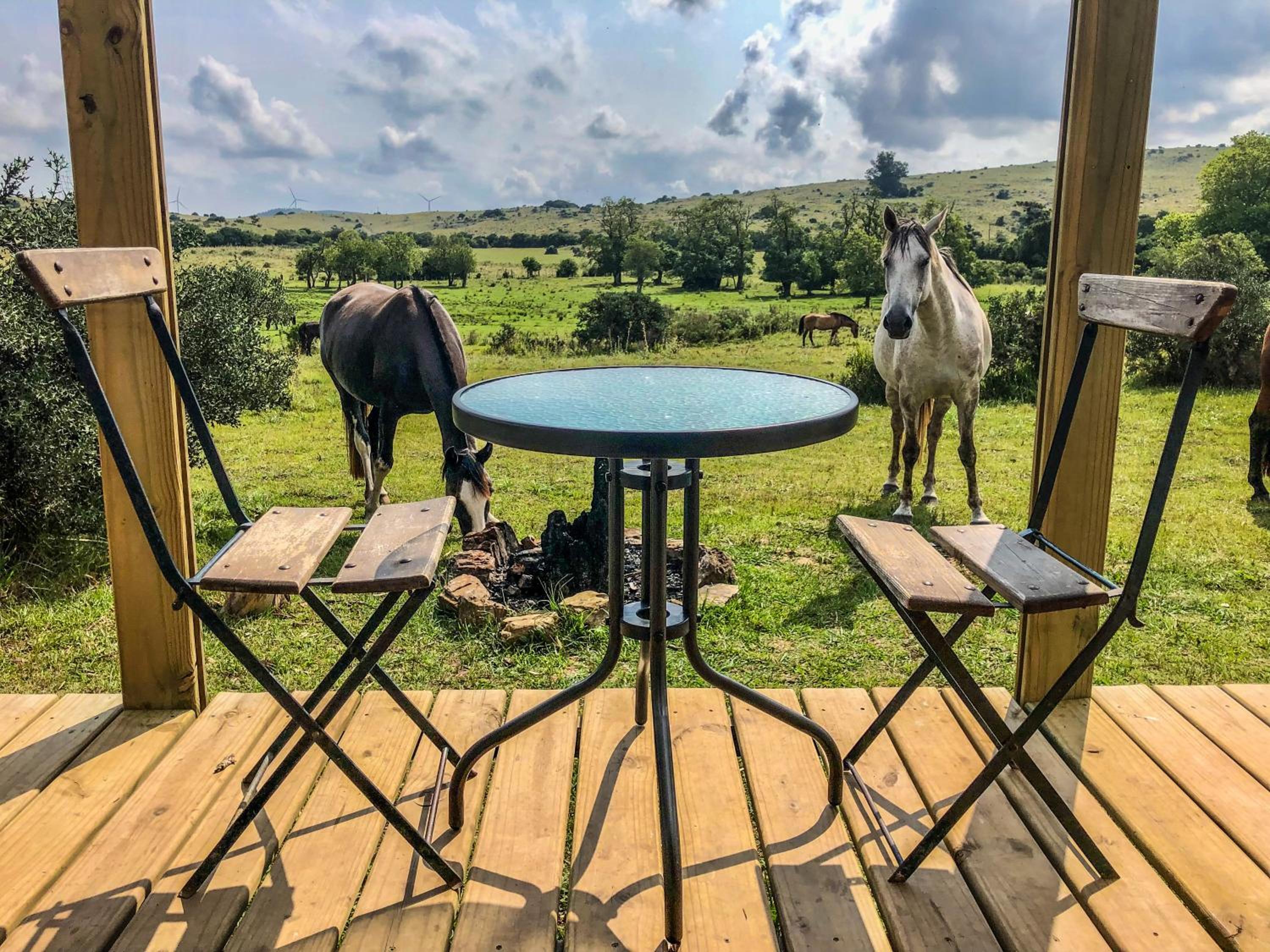 Bungalow de campo Torero - sierras, naturaleza y relax view 2