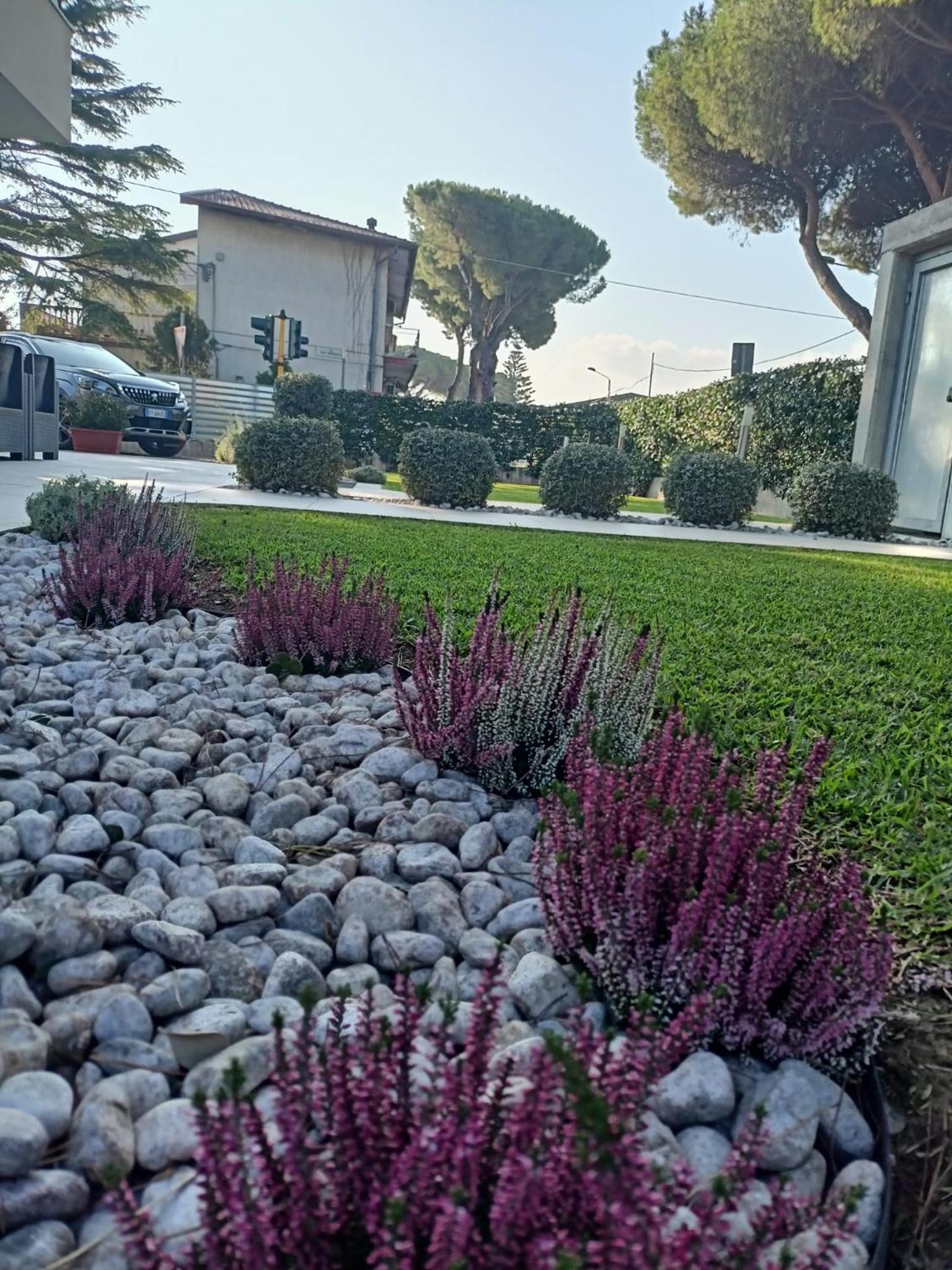 Assteas Rooms photo 2