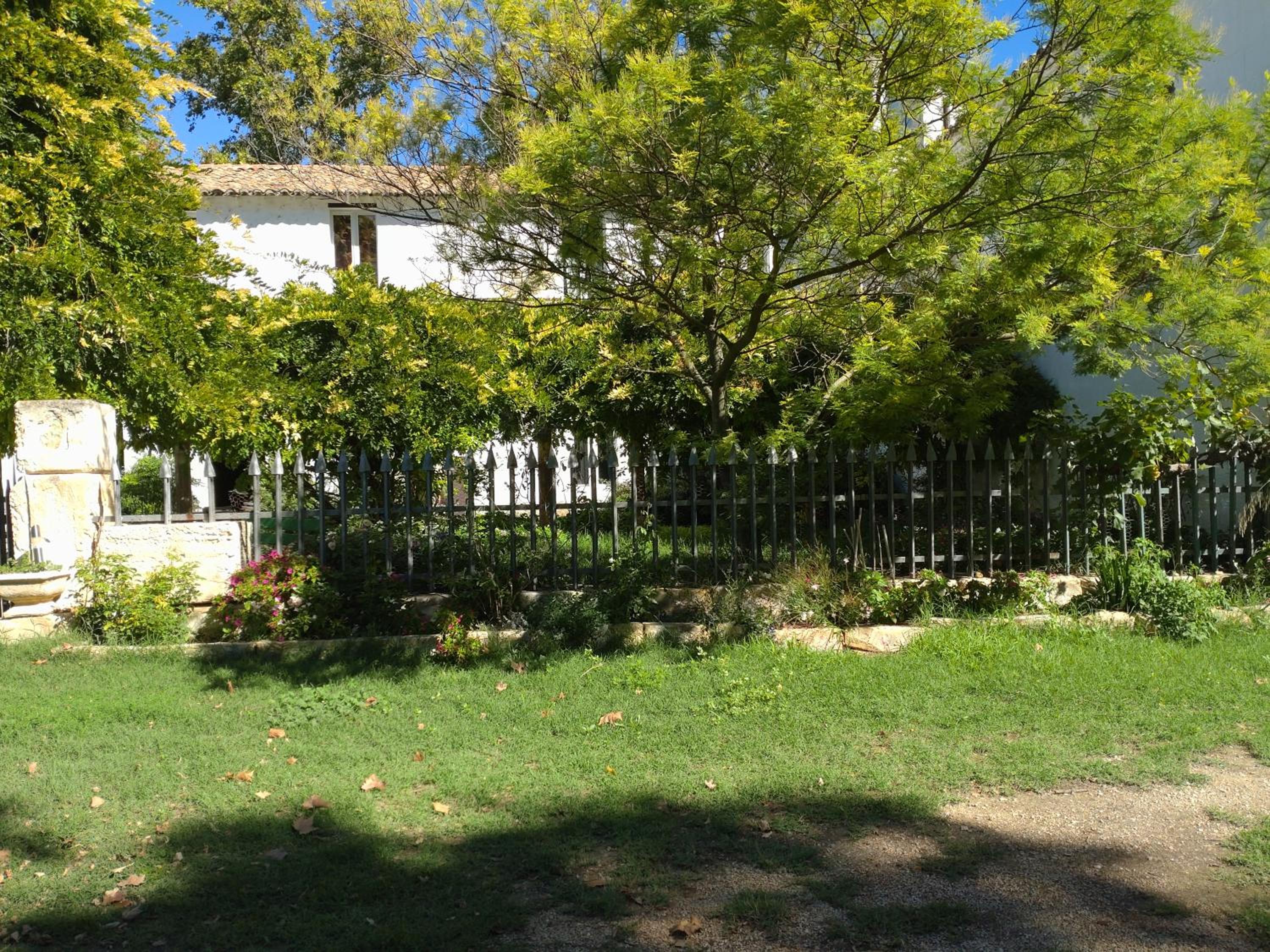 Photo 21