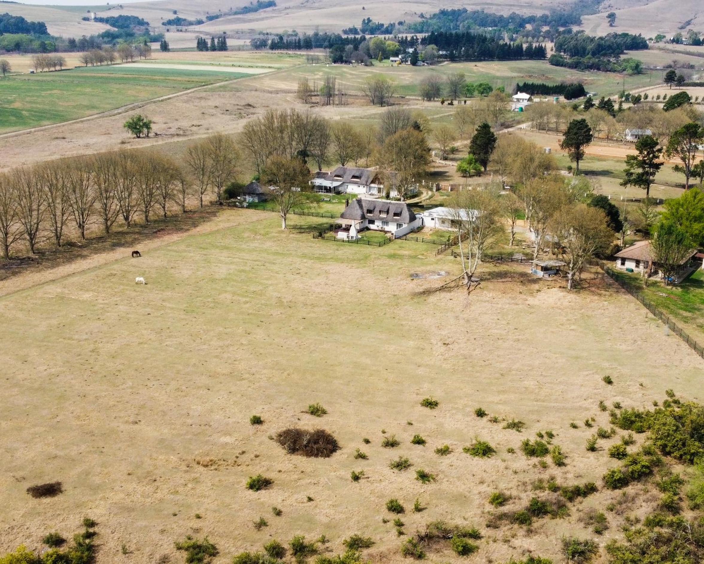 Rosetta Fields Country Lodge view 4