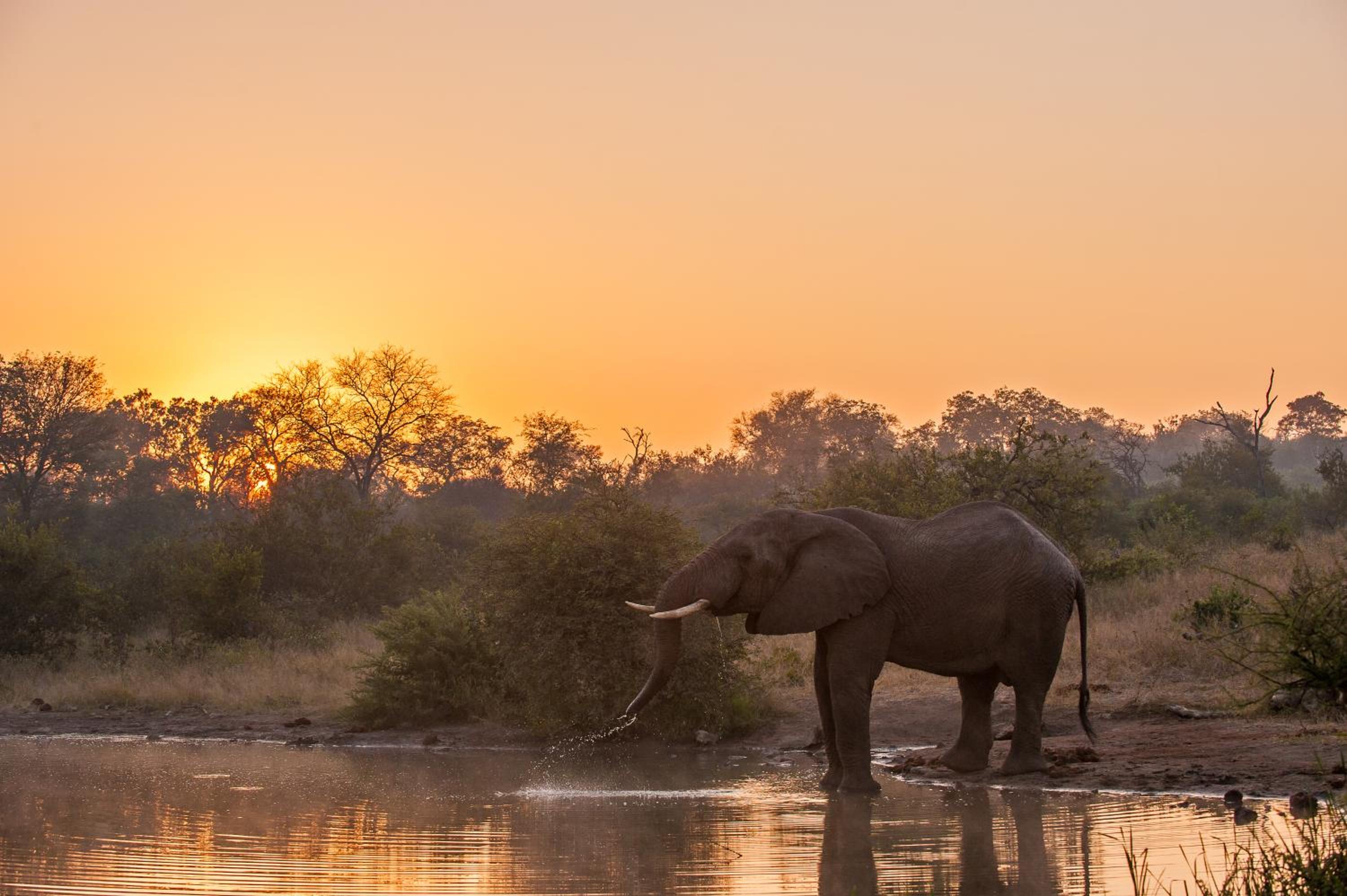 Pondoro Game Lodge — photo 22