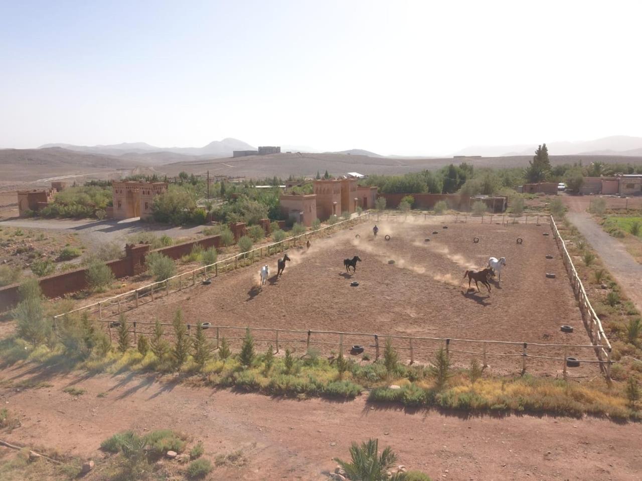 Dar Alfourssane Ferme d’hôte