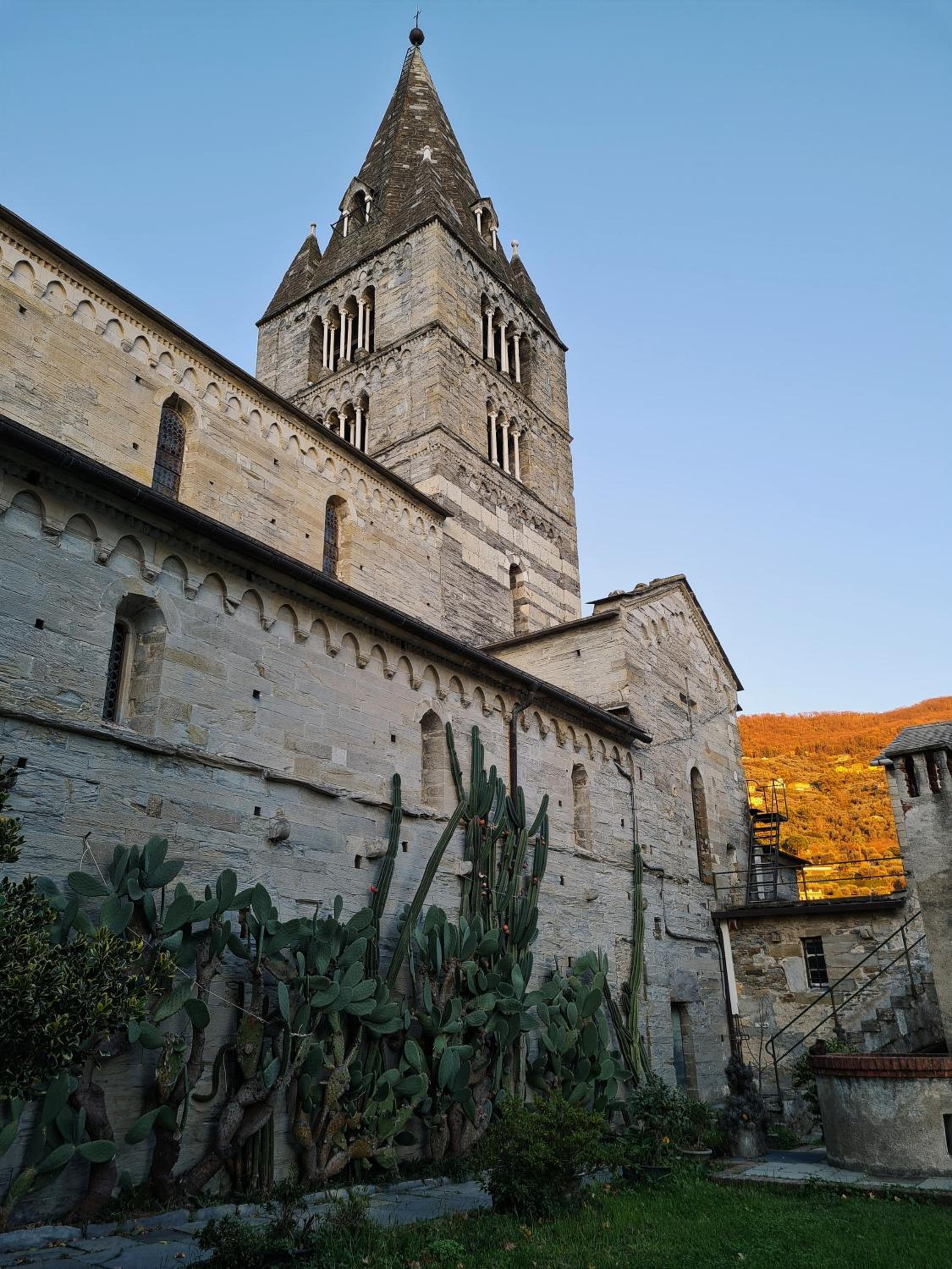 Photo 49