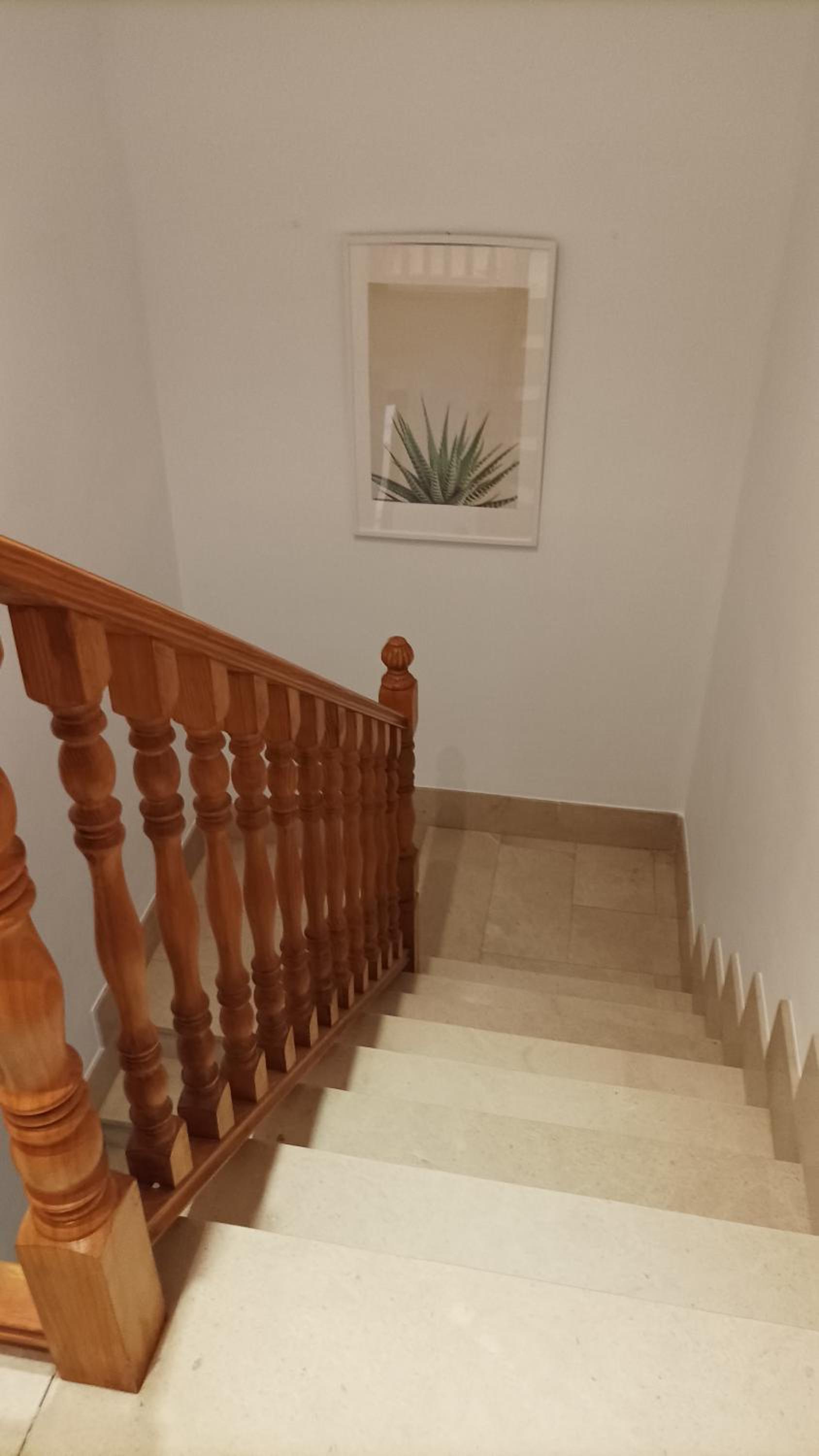Casa Aloe photo 4