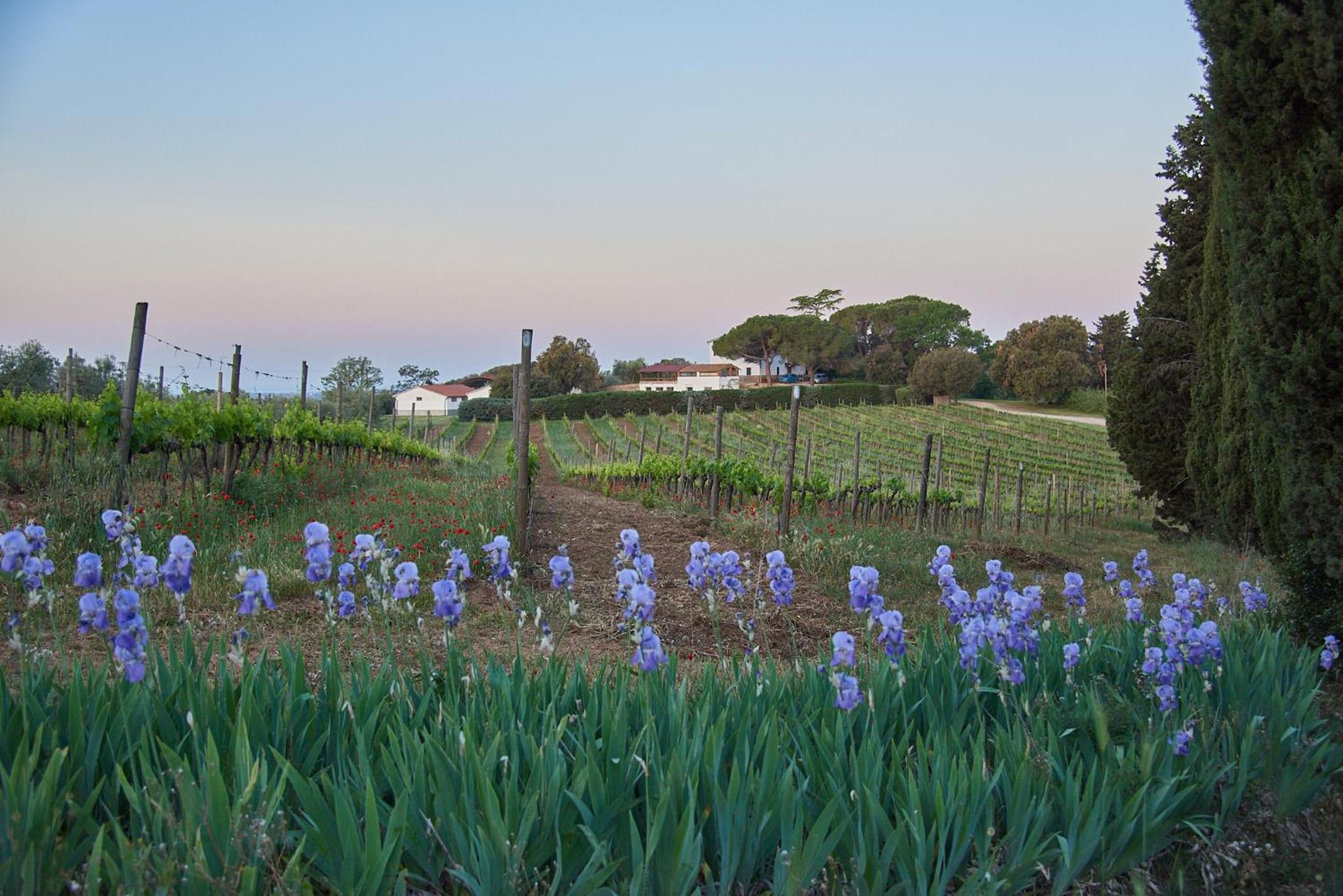 Agriturismo Tesorino