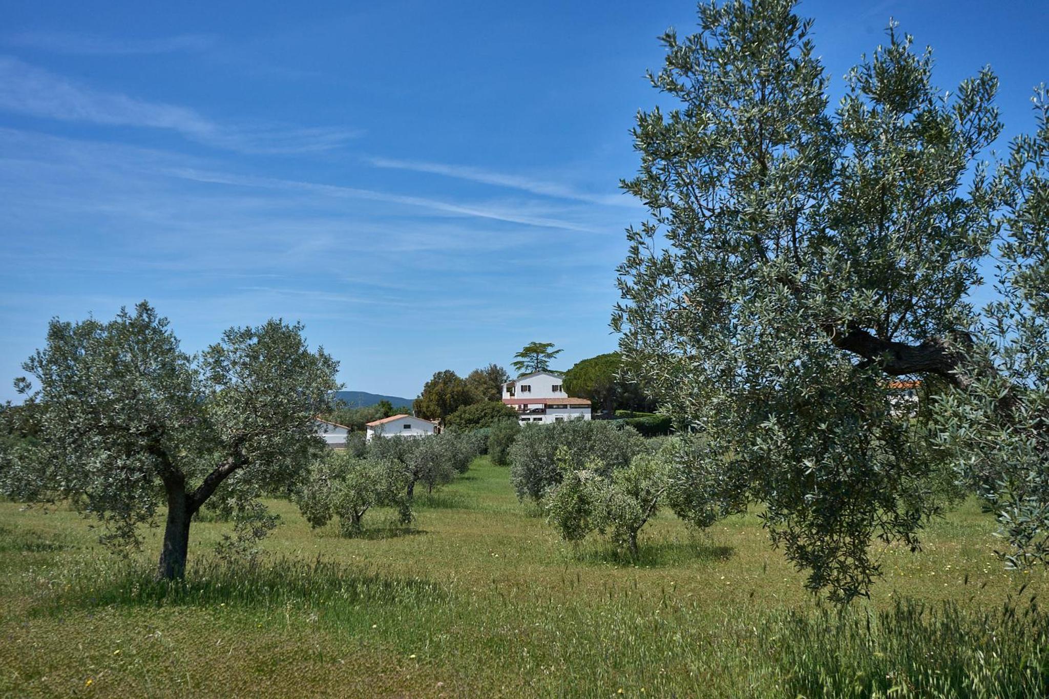 Agriturismo Tesorino