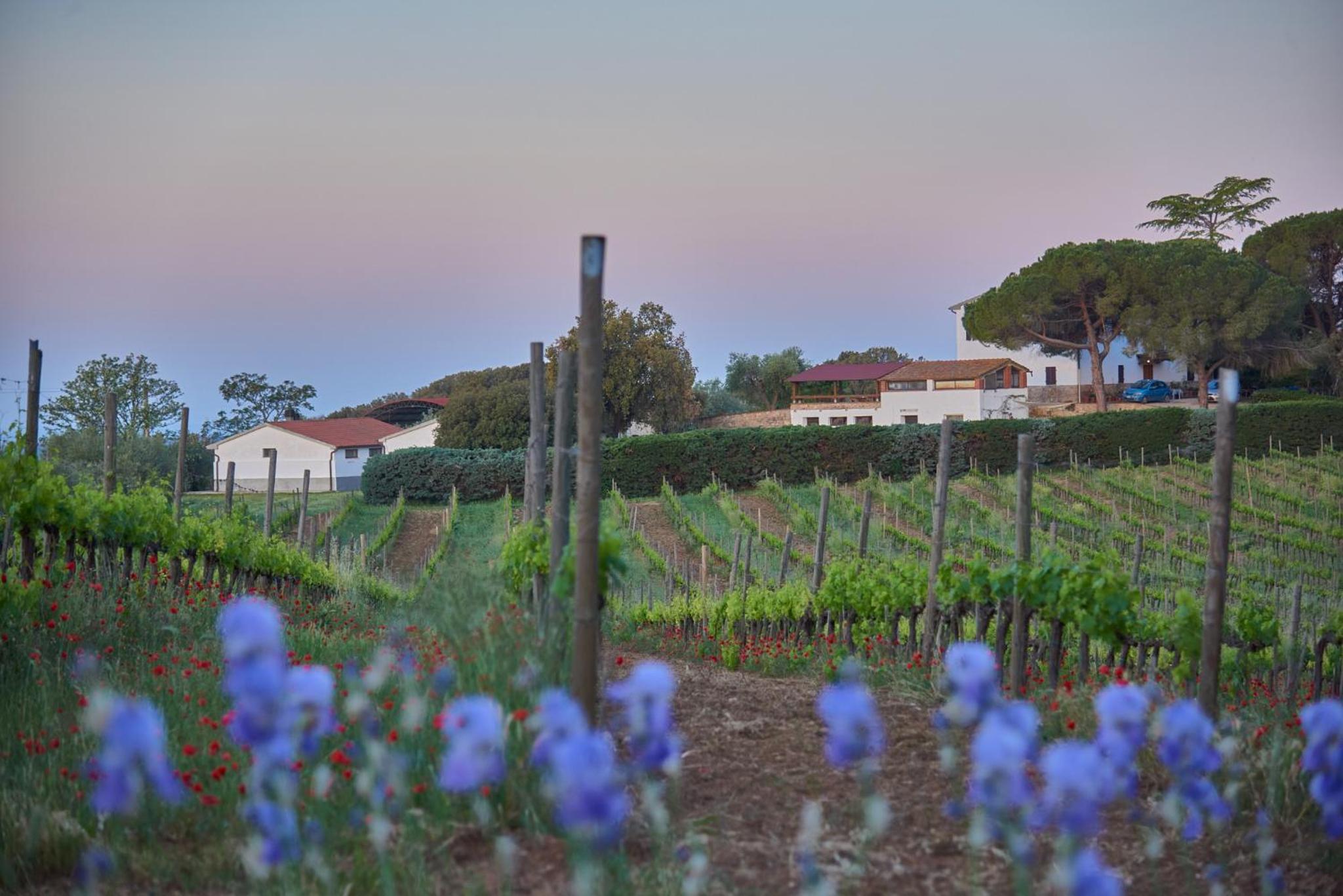 Agriturismo Tesorino
