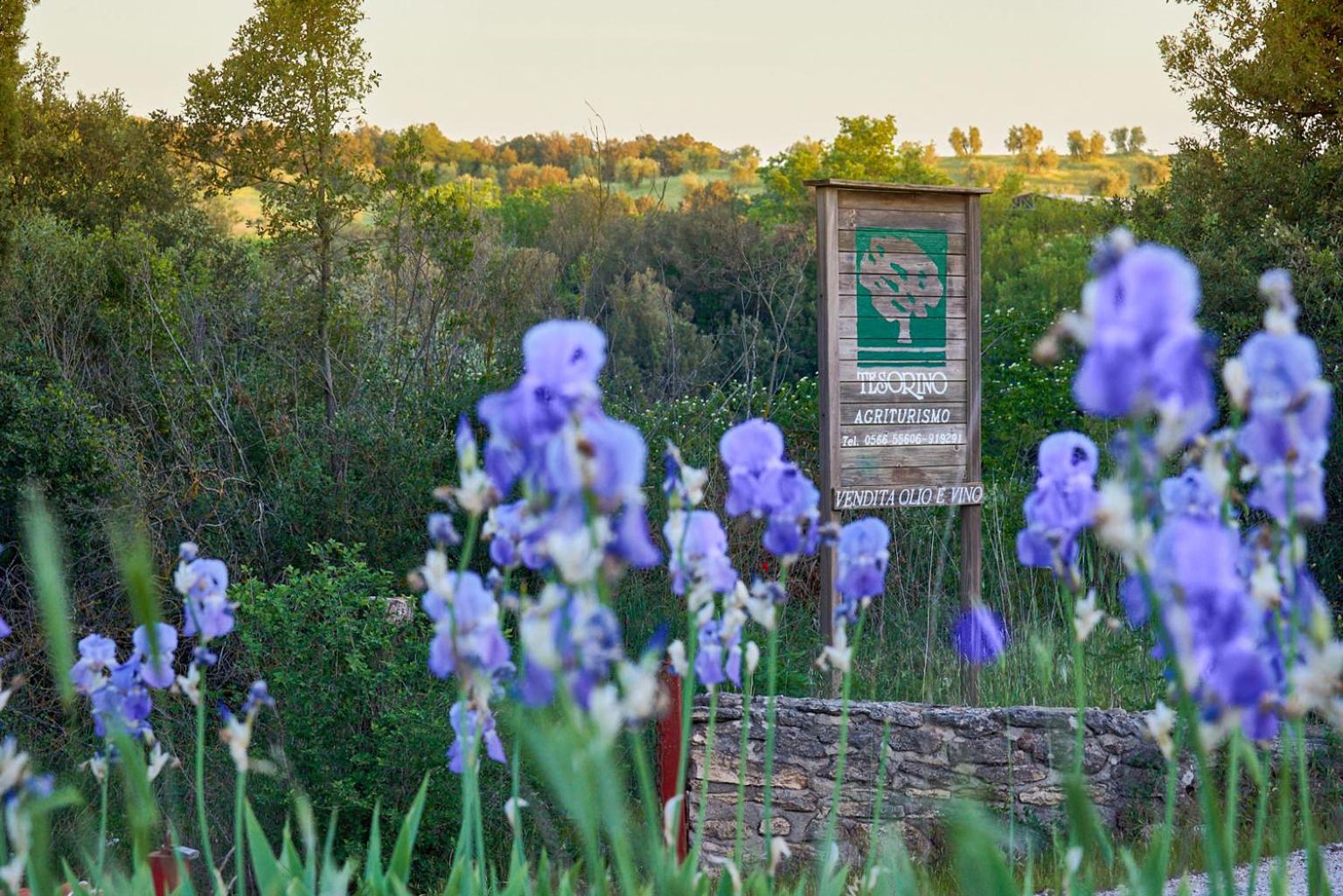 Agriturismo Tesorino