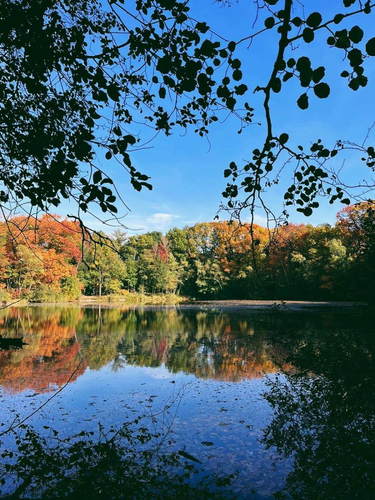 Mimi's natuurhuisje