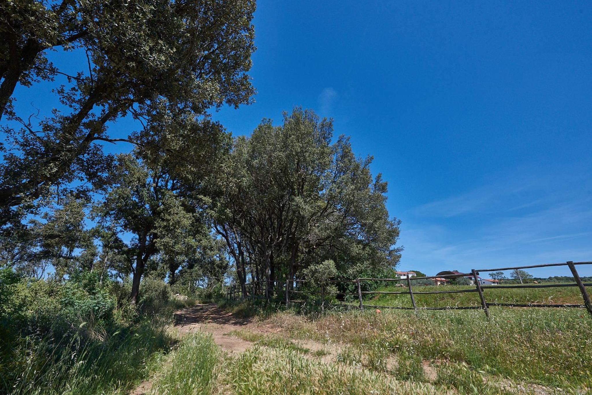 Agriturismo Tesorino