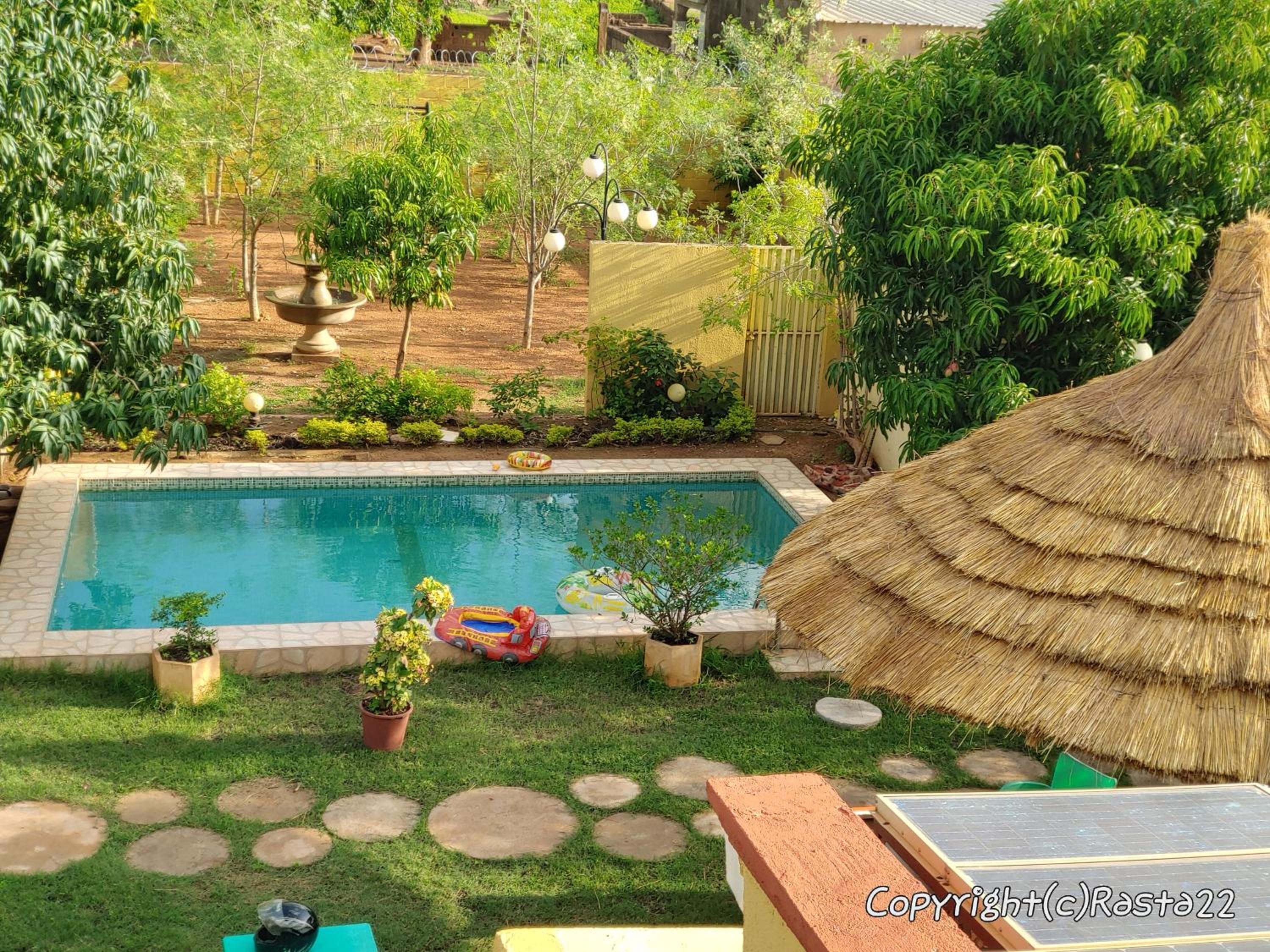 Résidence des hibiscus-roses: jardin, piscine...