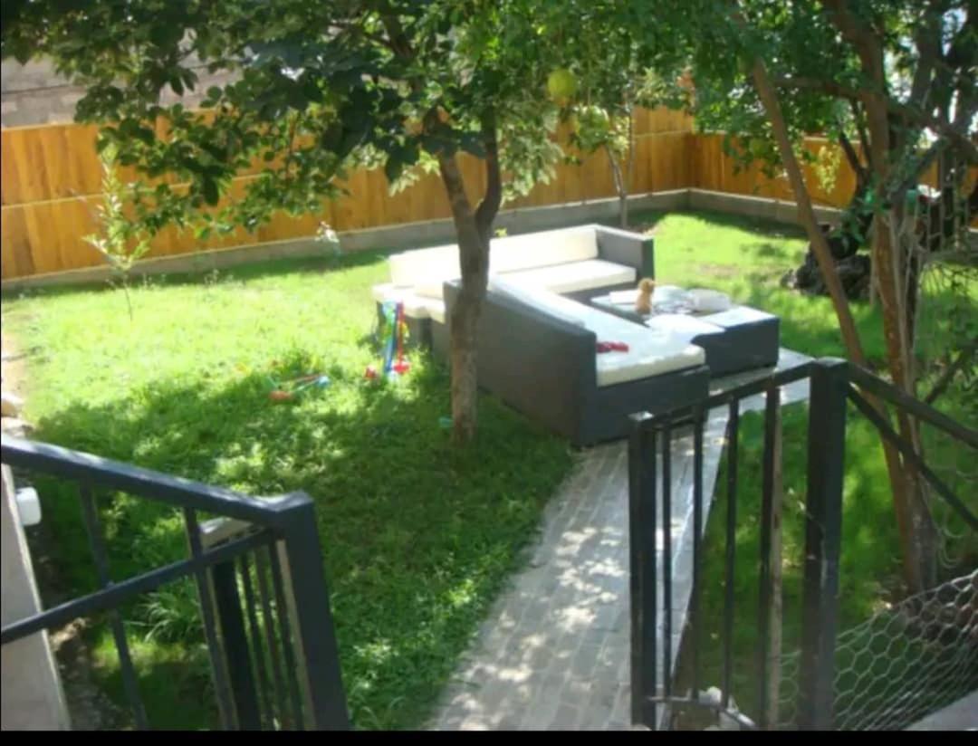 Photo 11