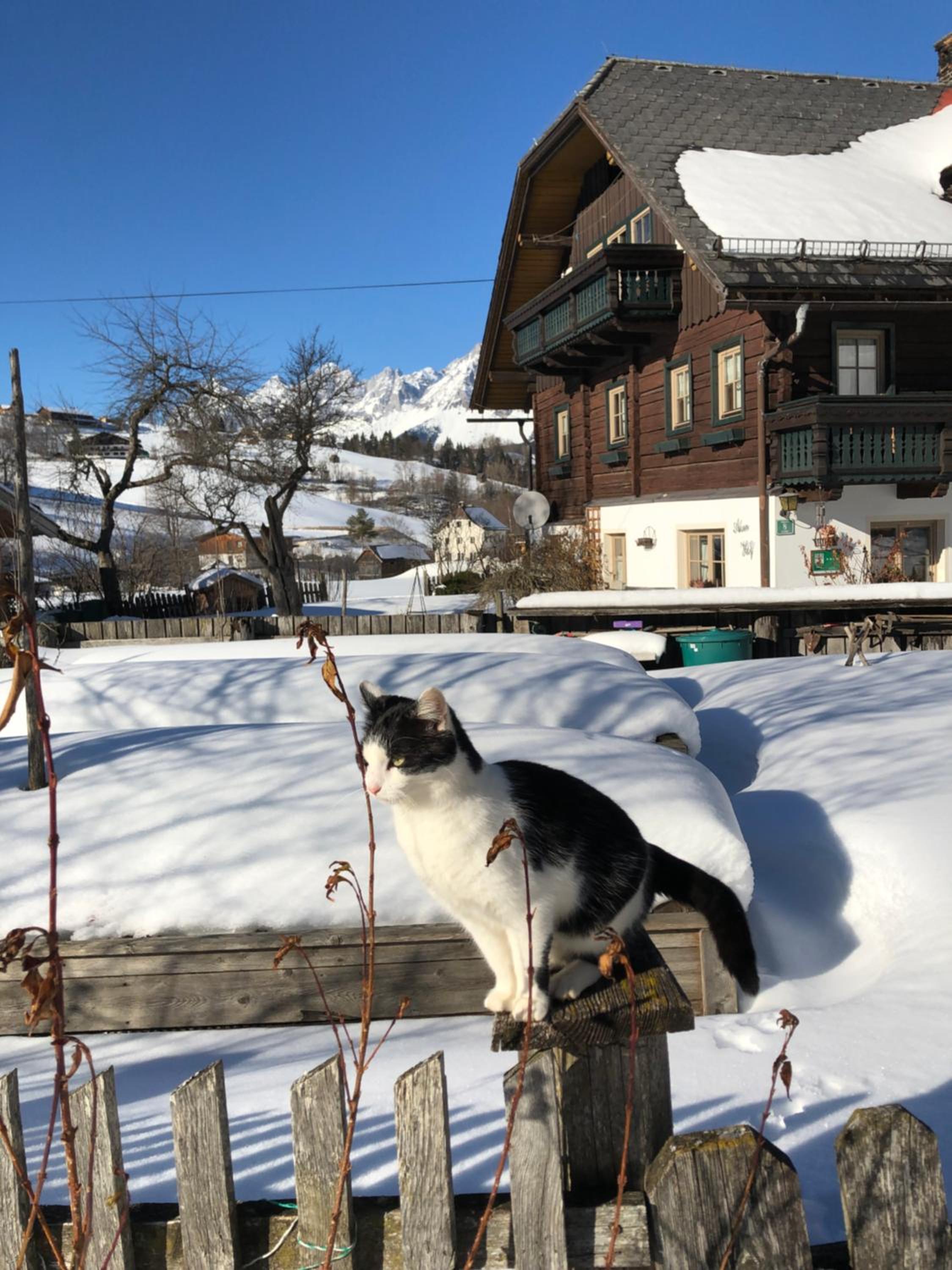 Auerhof