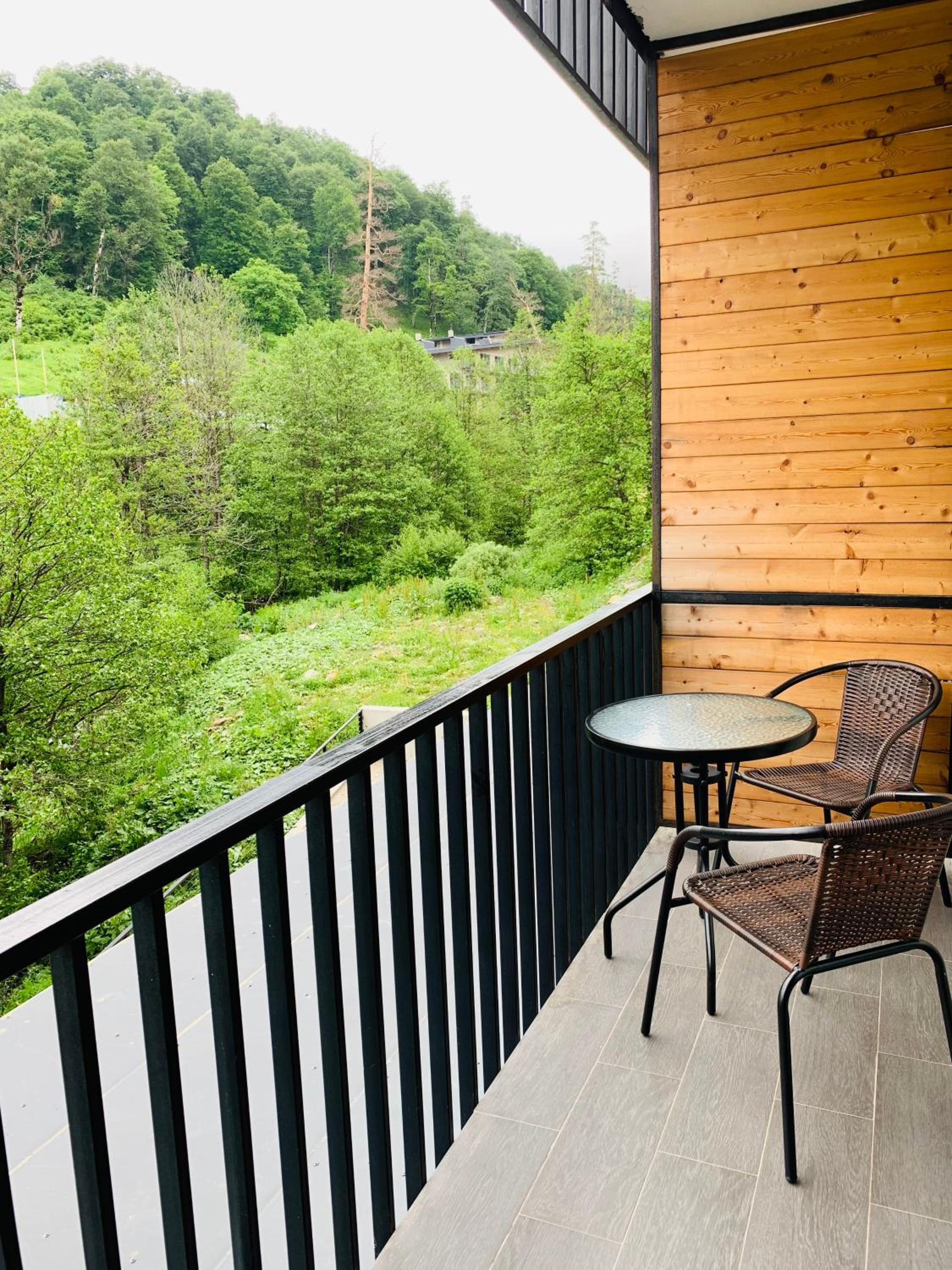Comfortable Apartment near Didveli