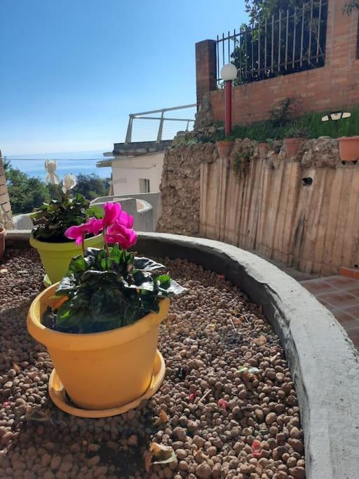 TORRE DEL MERIDIANO "Casa Vacanze" view 5