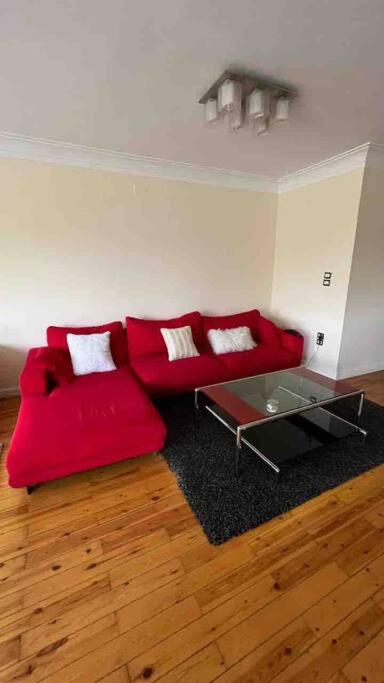 Beautiful 3 BR apartment in Maadi