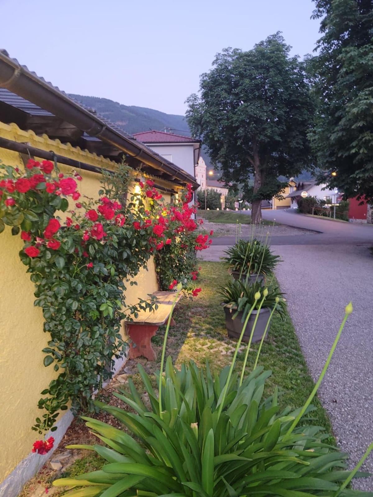 Pension & Ferienwohnung Dullnig