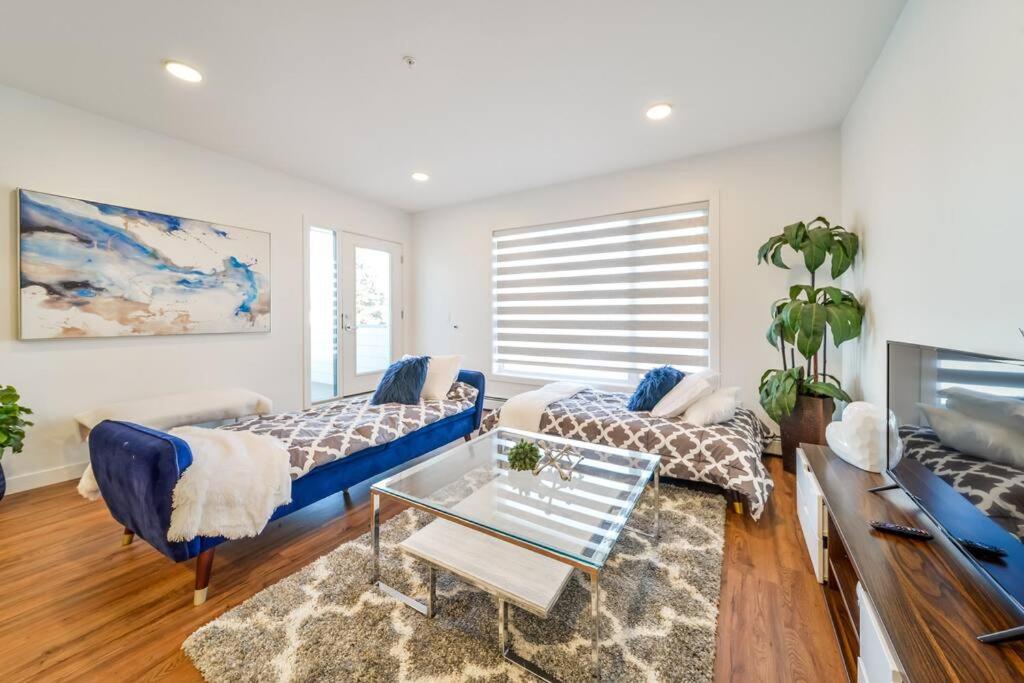 Royal Blue Wild Oasis Corner PNHSE KingBed U/G Wi-fi view 5