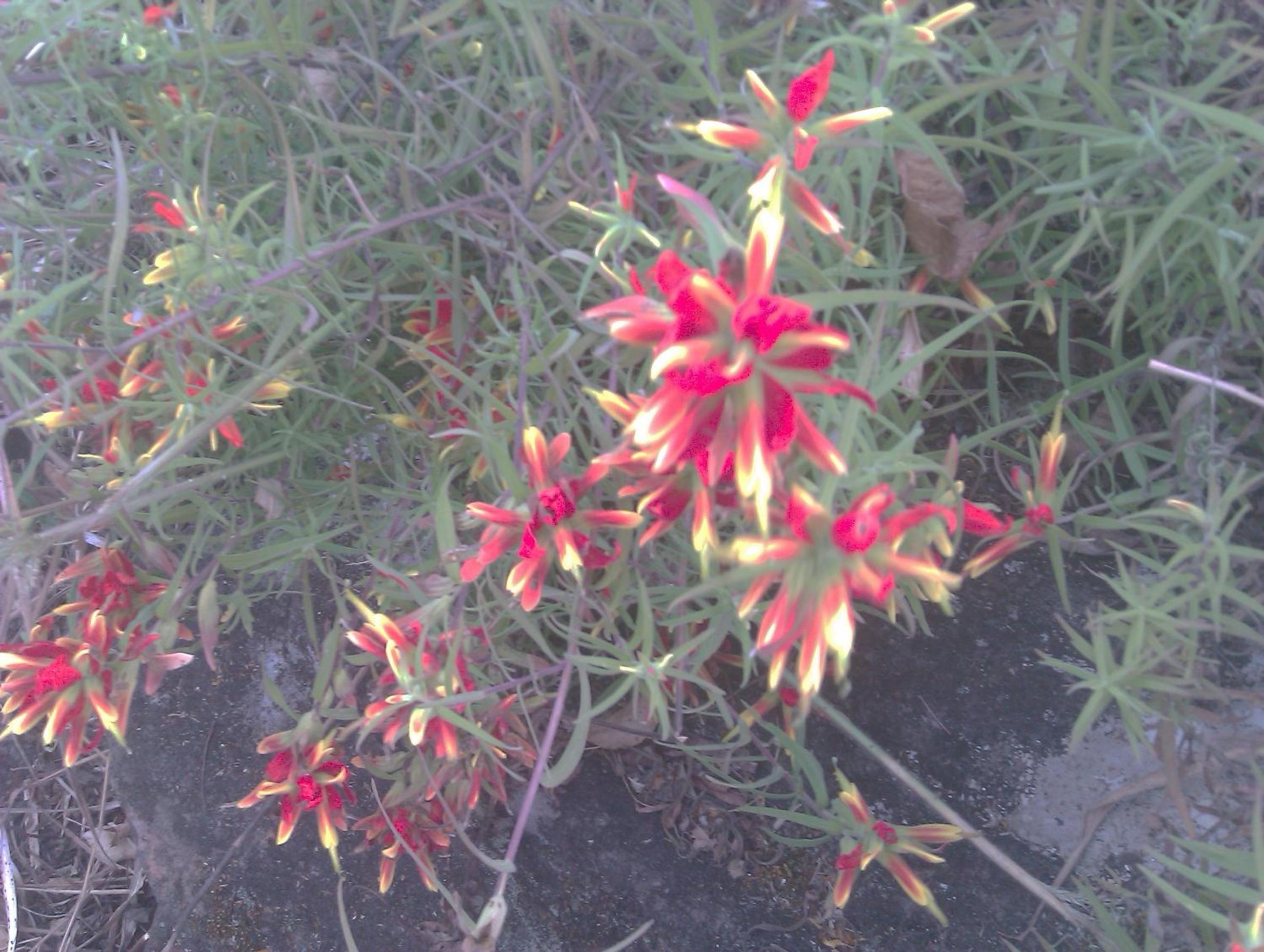 Photo 26