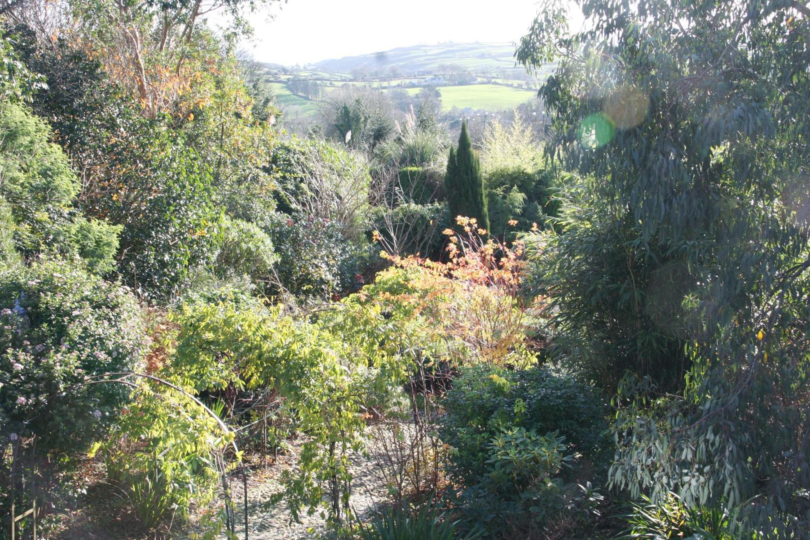 Photo 33