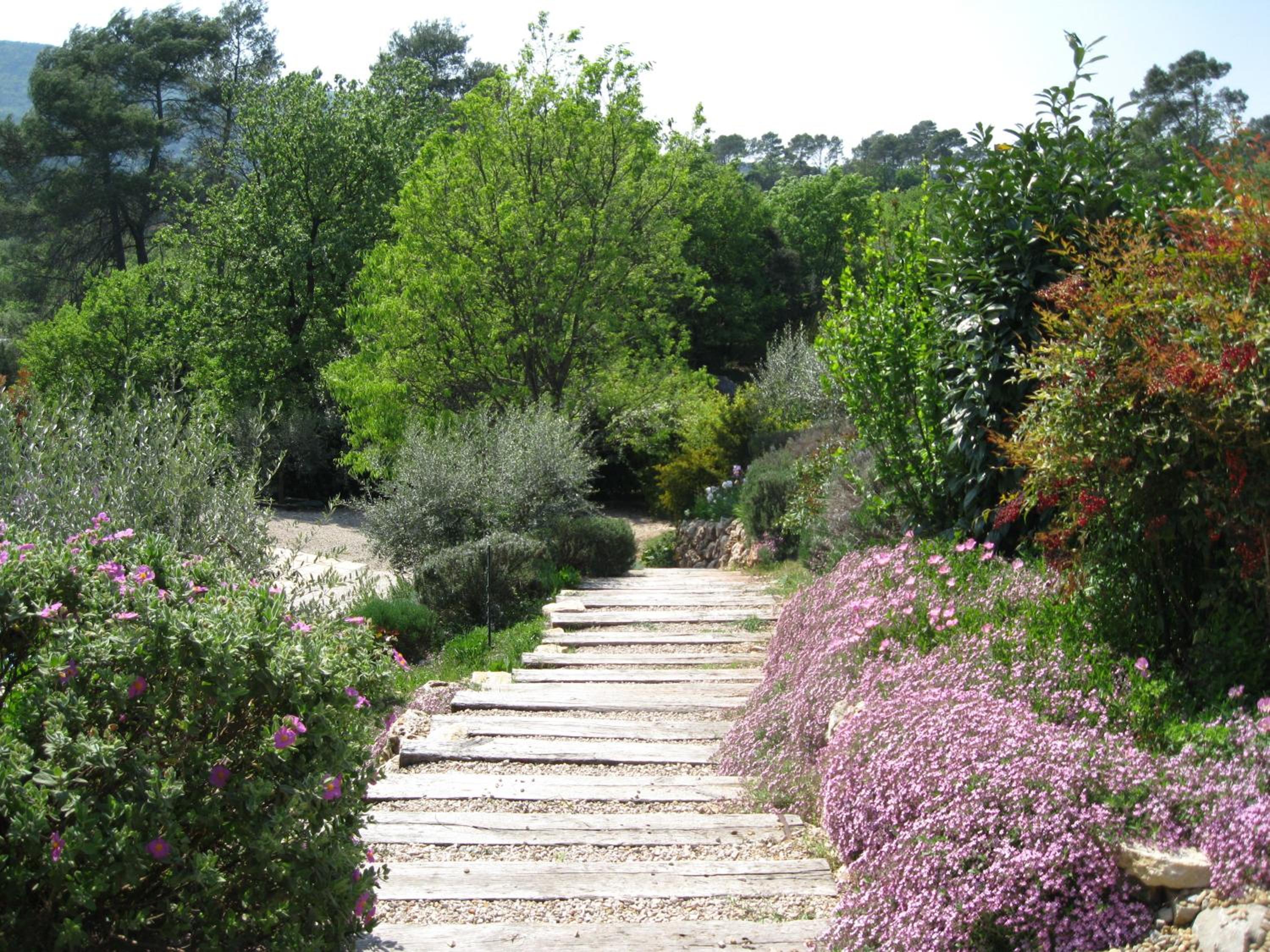 Photo 40