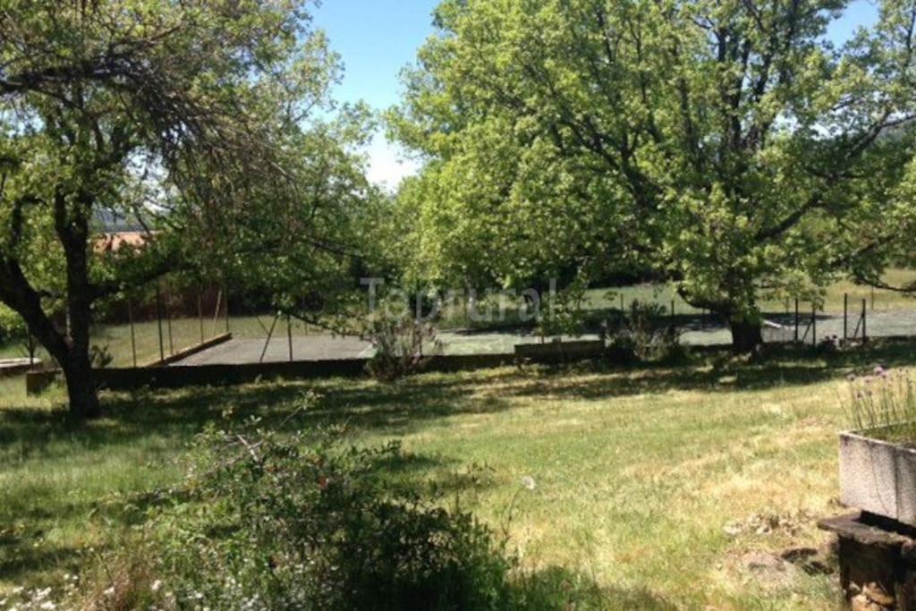 Photo 20